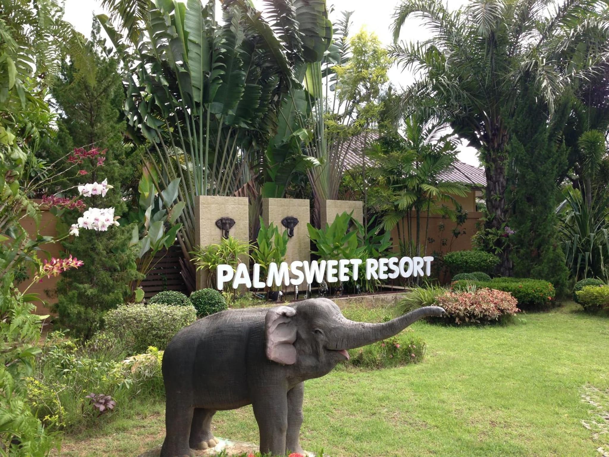 Palm Sweet Resort photo 9