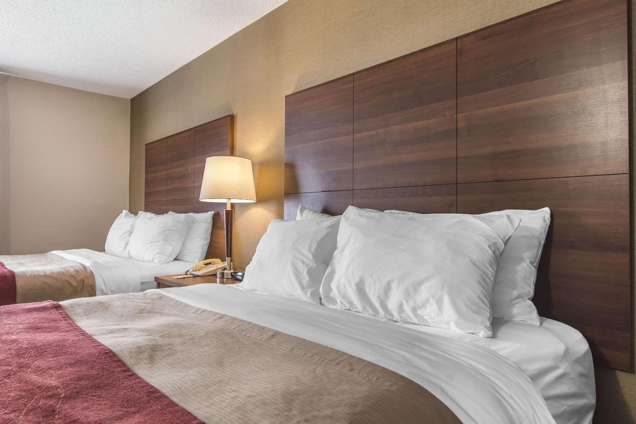 Comfort Inn photo 6