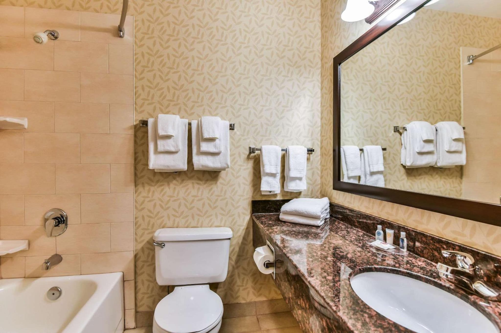 Comfort Inn & Suites Ambassador Bridge photo 3