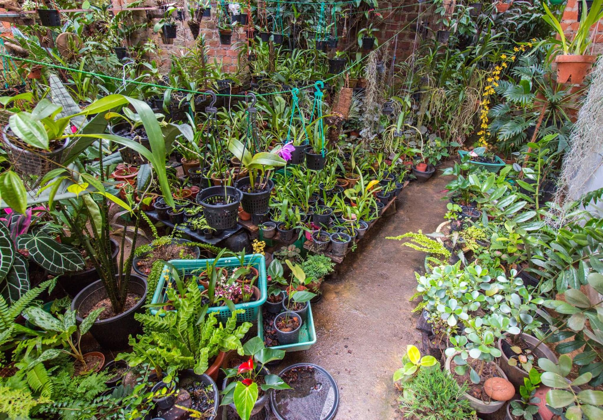 Amma's Homestay photo 8