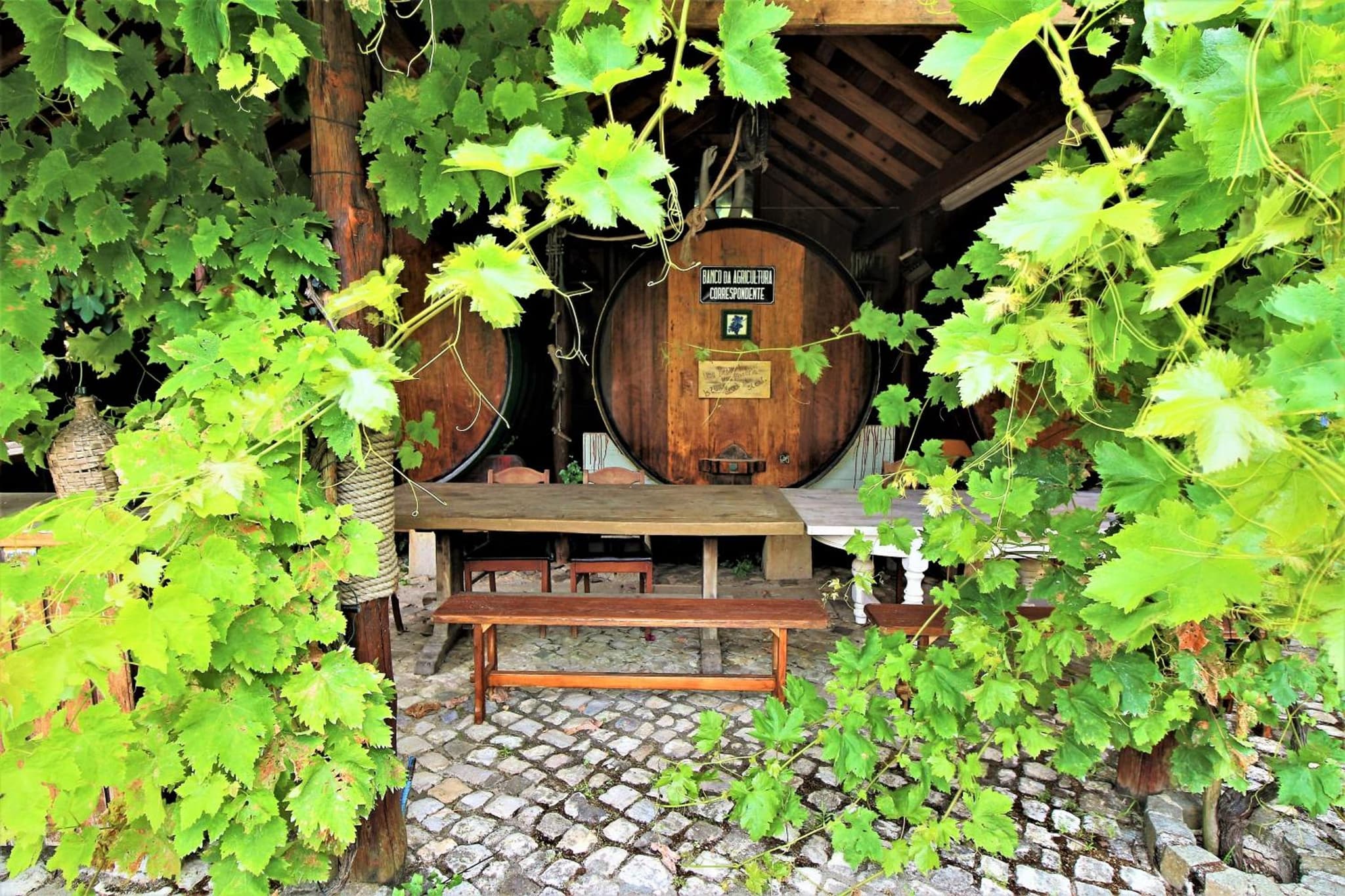 Villa Ana Margarida by Nature photo 5