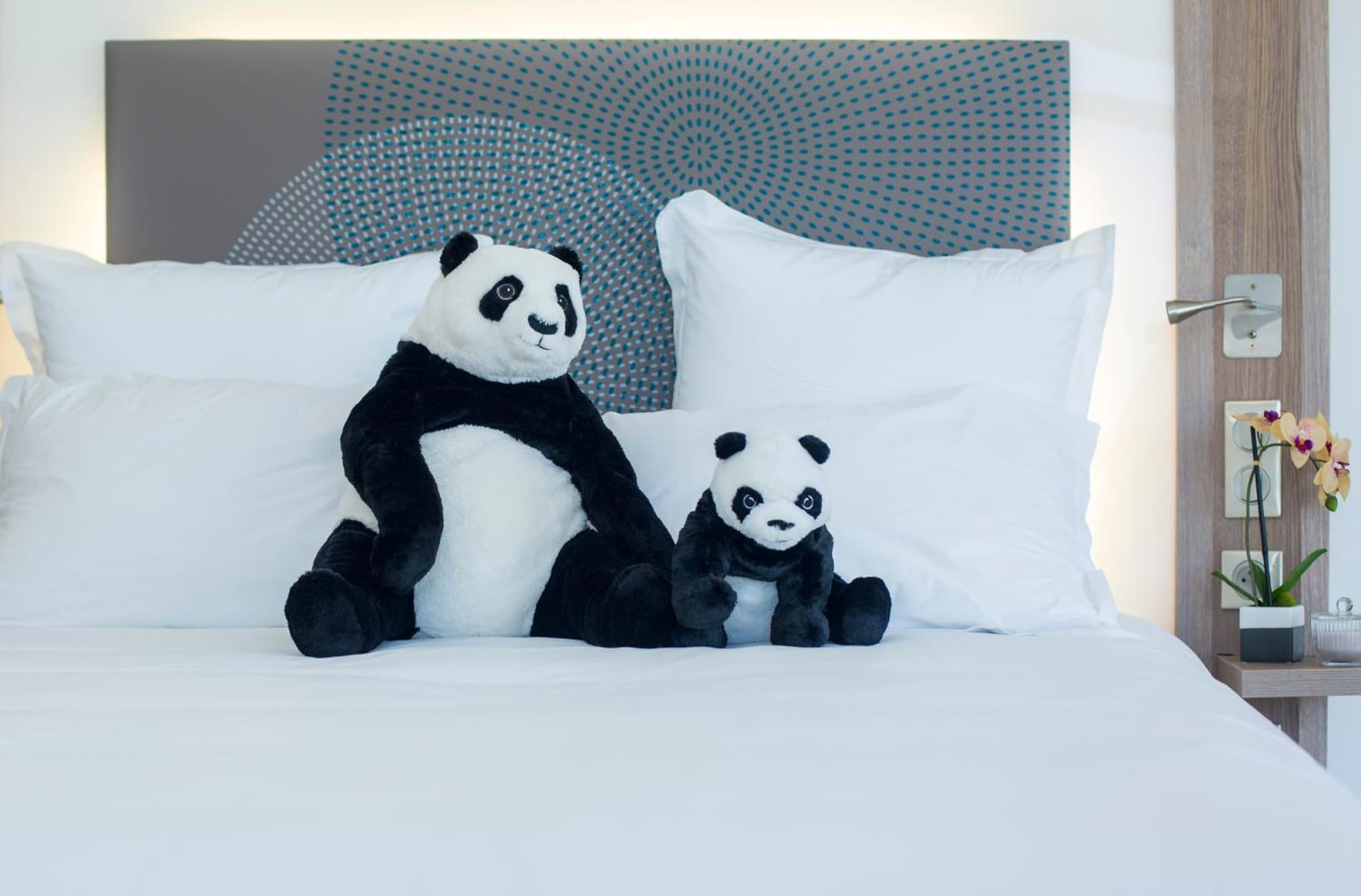 Novotel Mohammedia photo 6