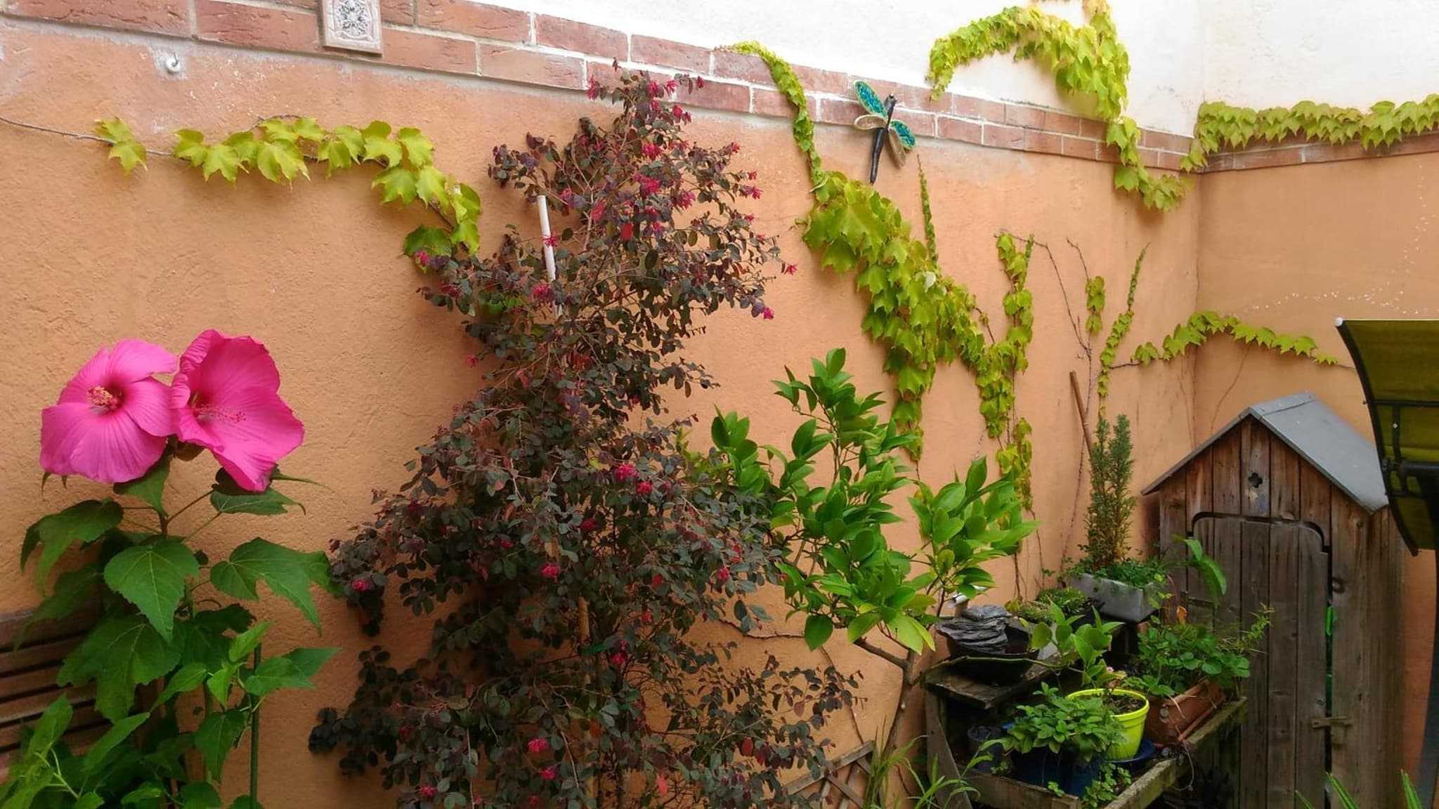 Autan des Couleurs photo 2