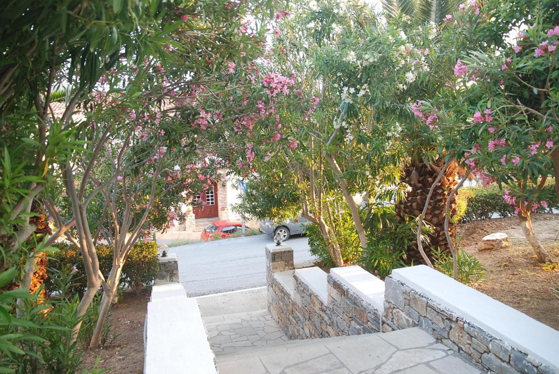 Anthemis Hotel Apartments photo 2