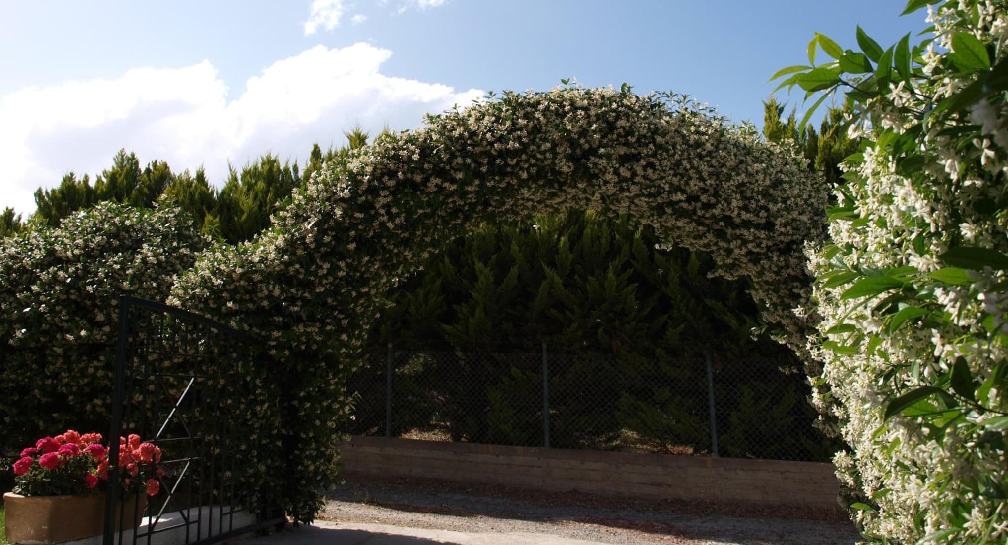 Kondilenias House photo 3