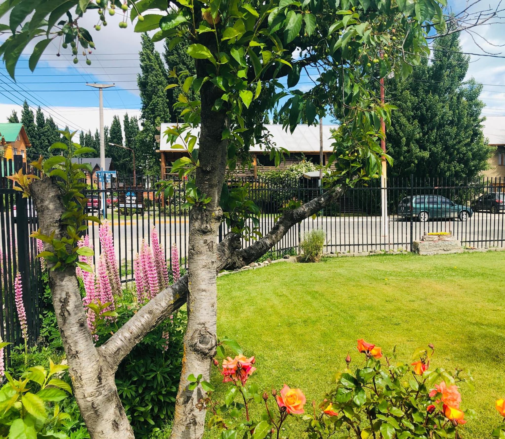 Los Lagos Hotel photo 3