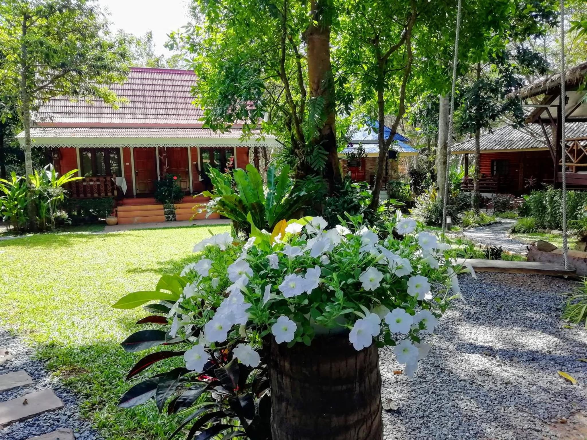 Macura Resort photo 7
