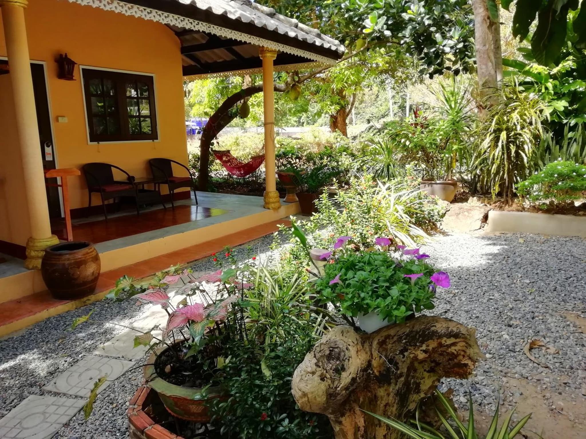 Macura Resort photo 2