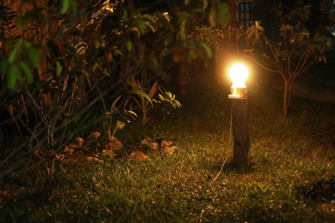 The Hidden Oasis Bungalows photo 6