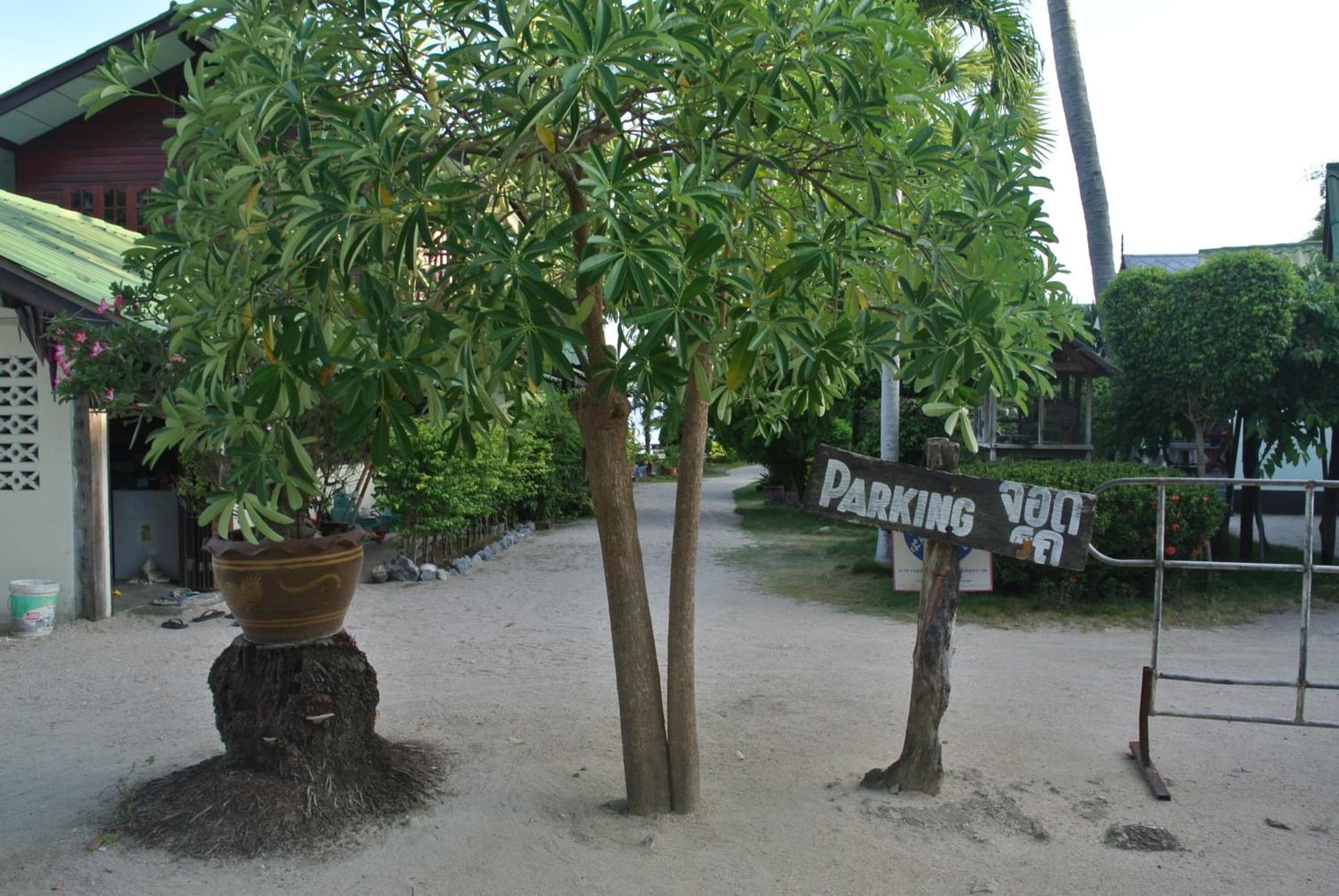 Dewshore Resort photo 9