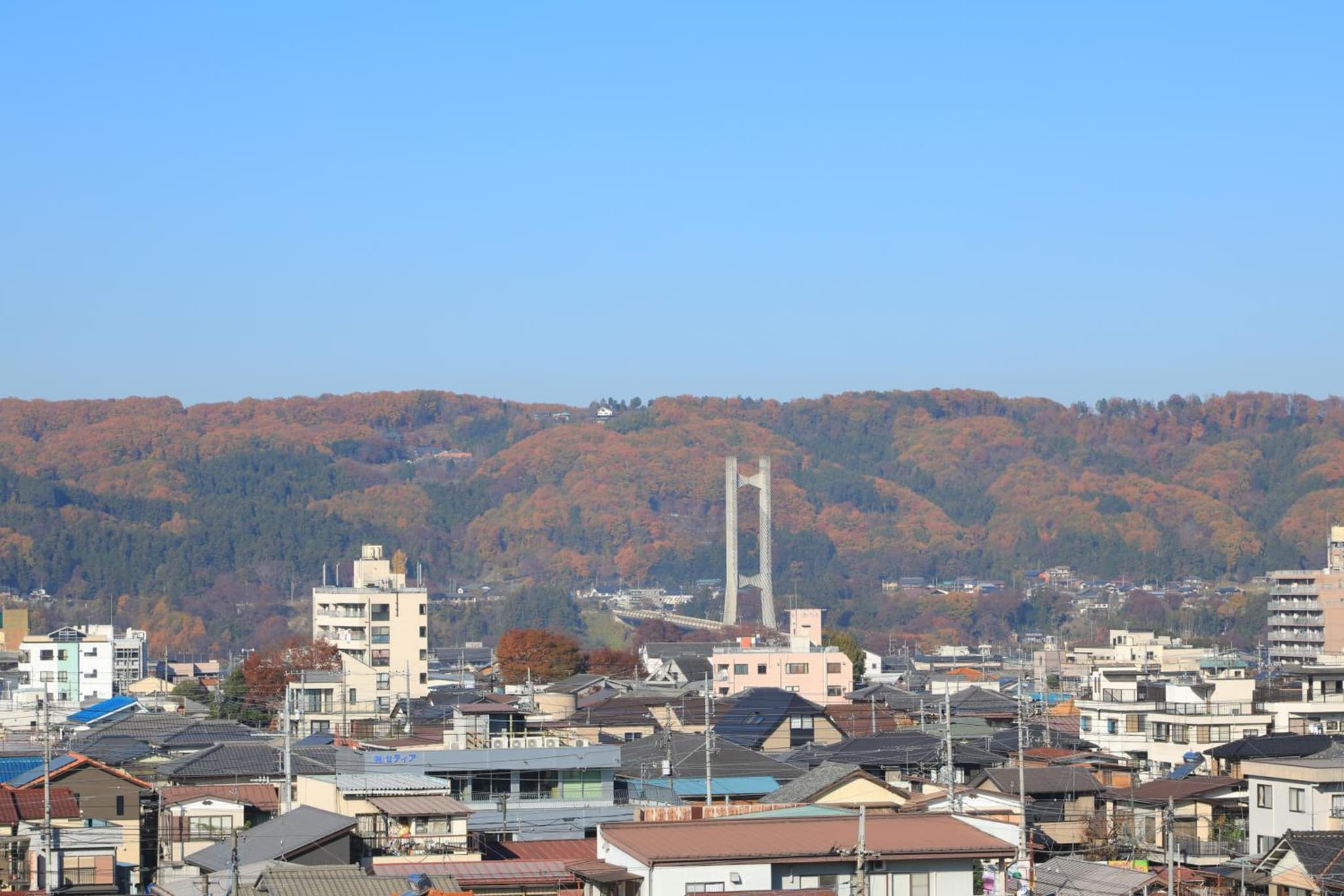 Comfort stay Miyabi photo 5