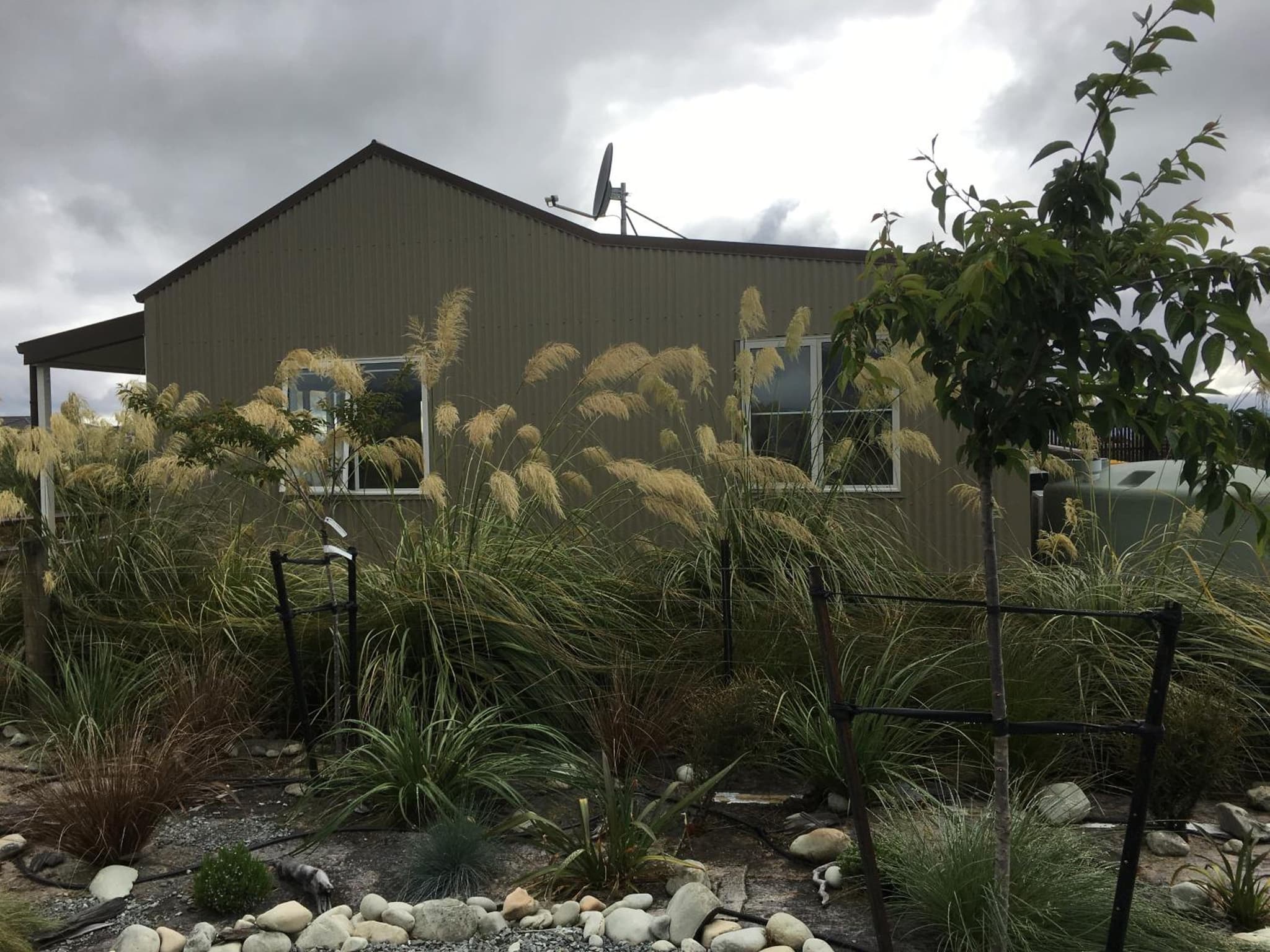 Mahina Cottage photo 7