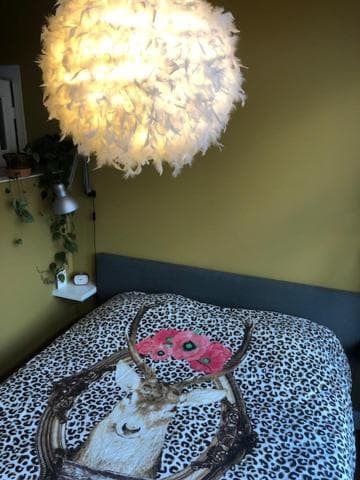 Juuls B&B photo 6