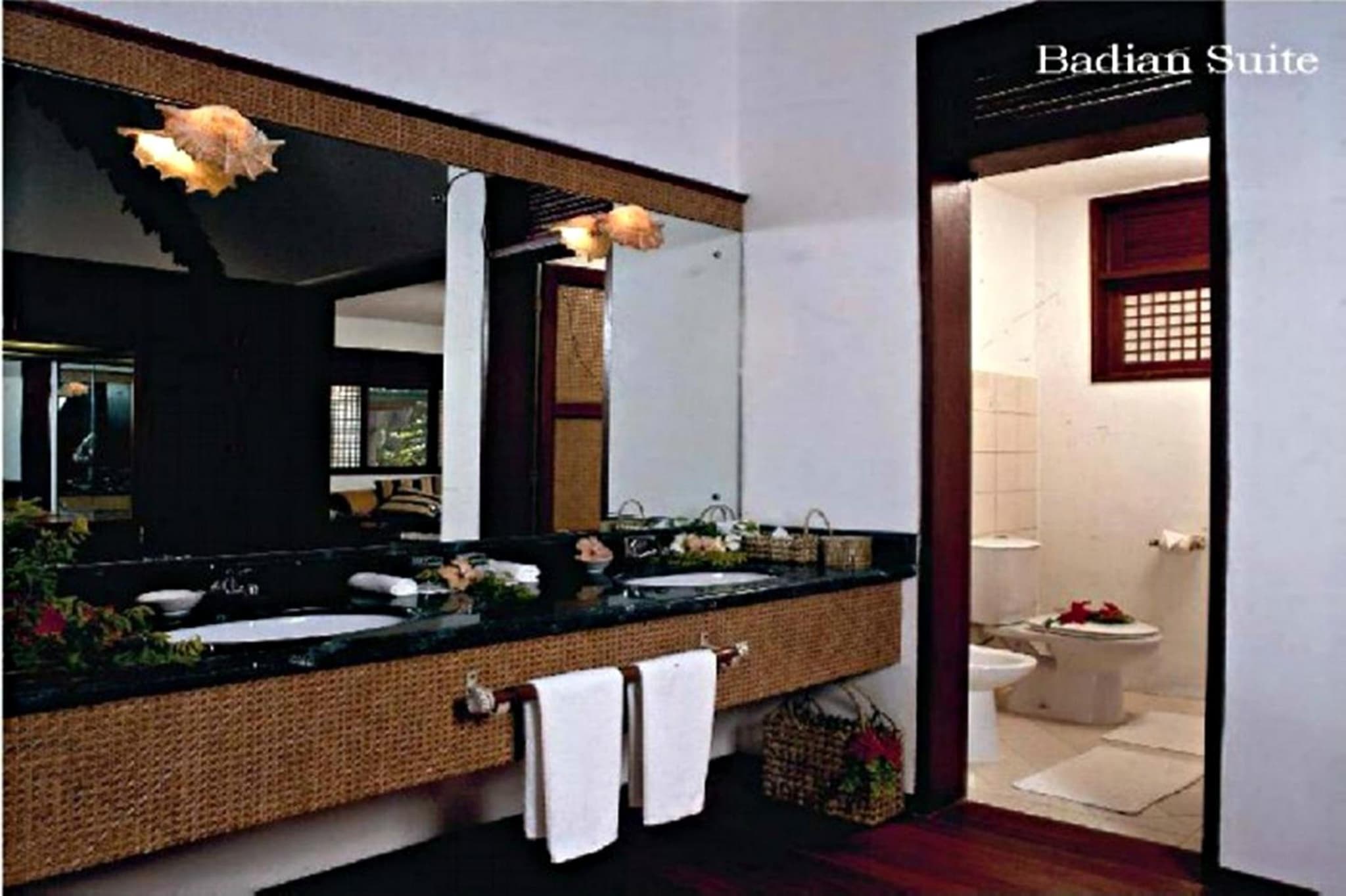 Badian Island Wellness Resort photo 8