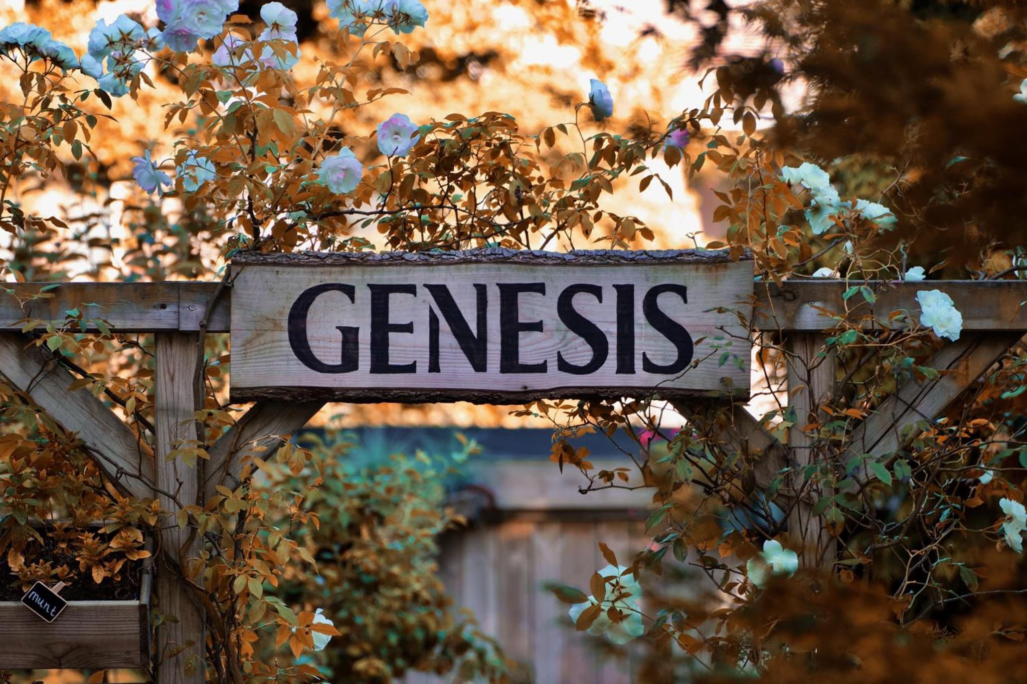 Genesis Voorschoten photo 6