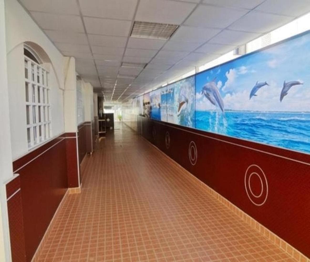 Dolphin Hotel photo 6