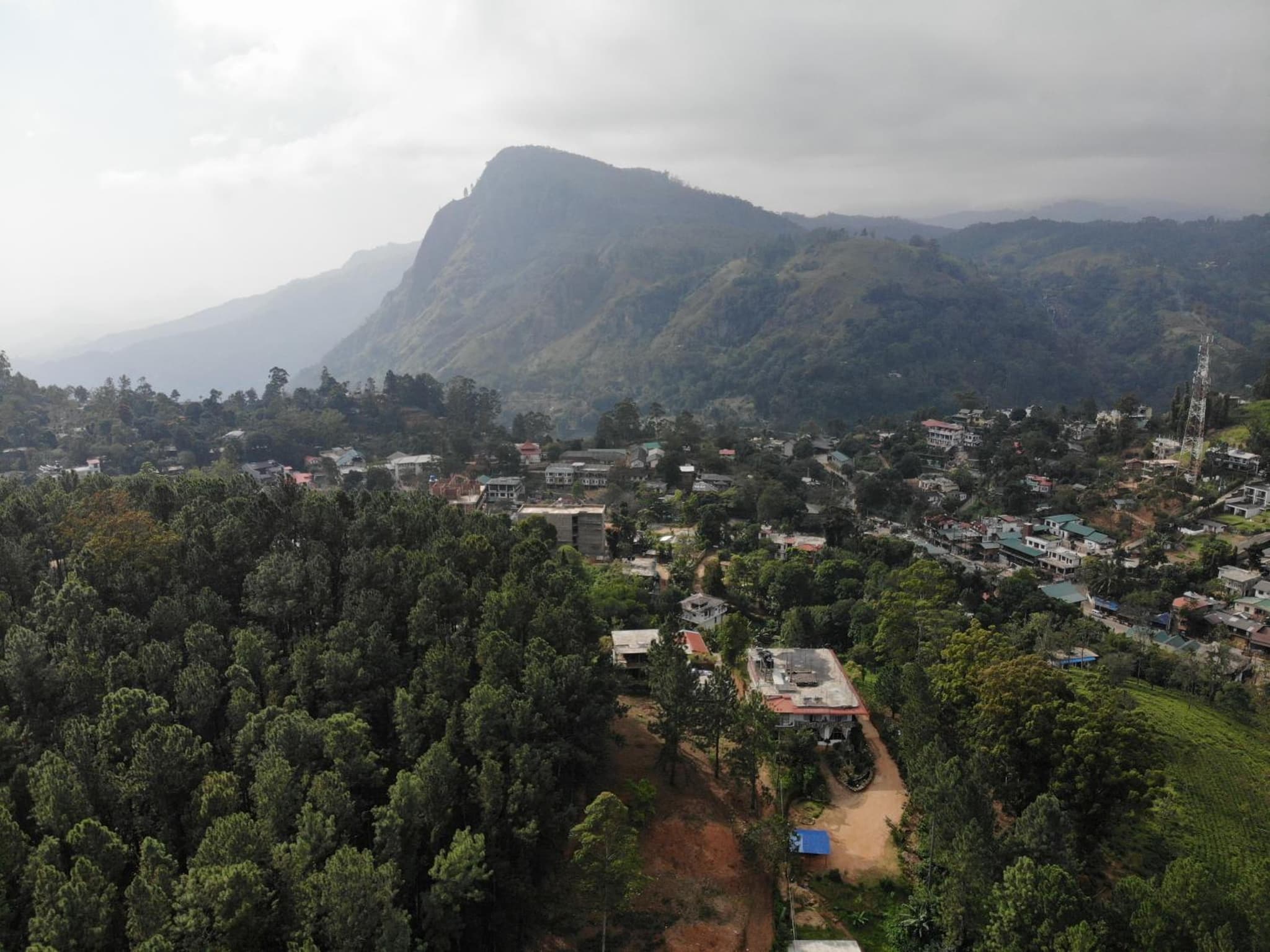 Forest Paddy Homestay photo 9