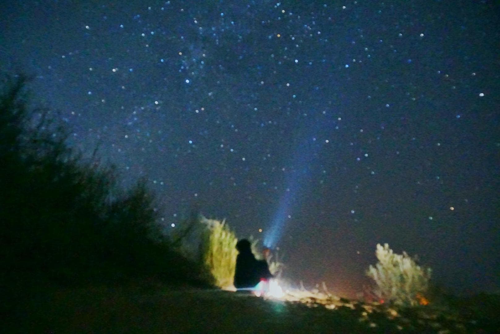 Wonbin Safari Jaisalmer photo 7
