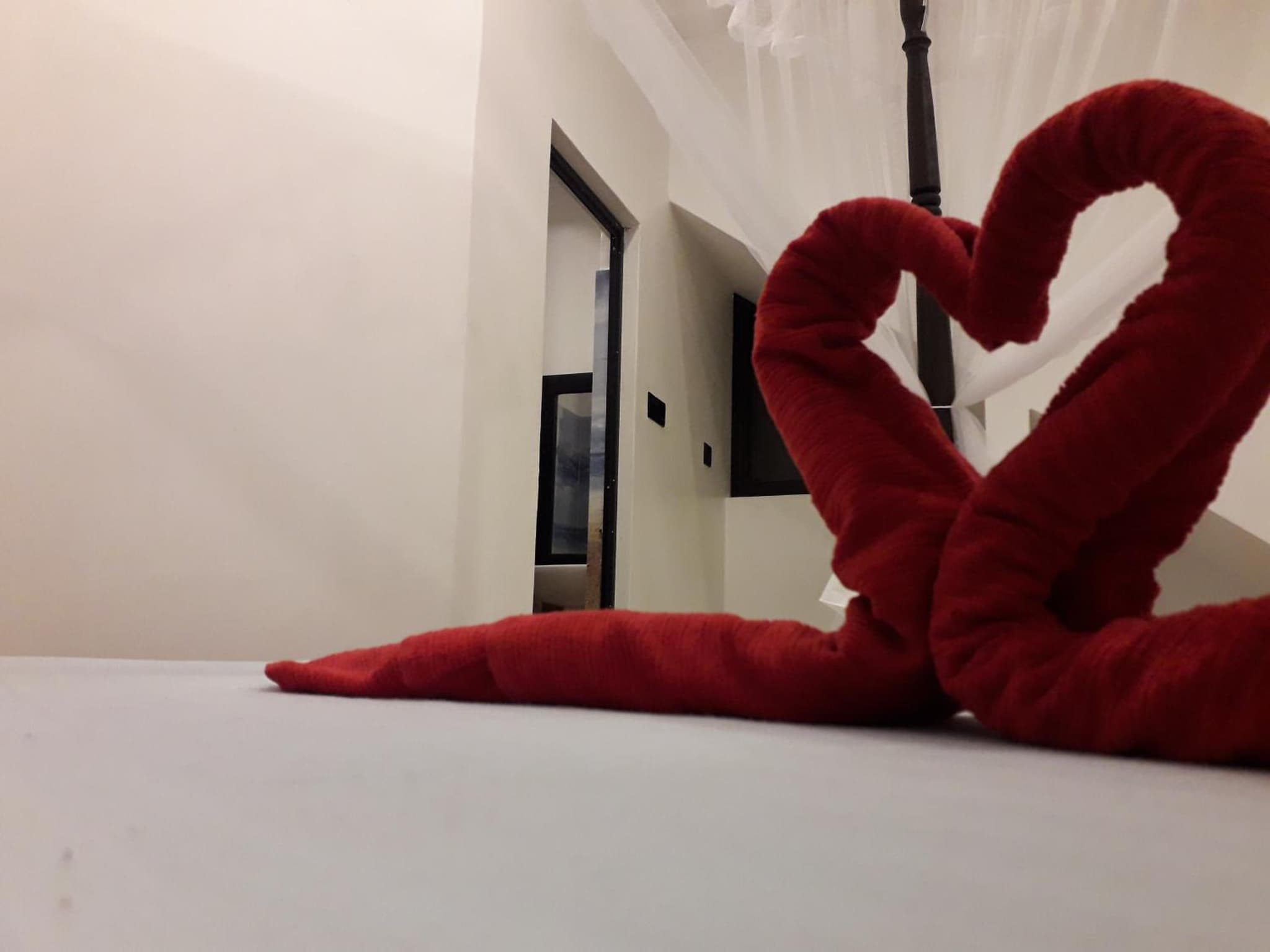 Bisandu guesthouse photo 5
