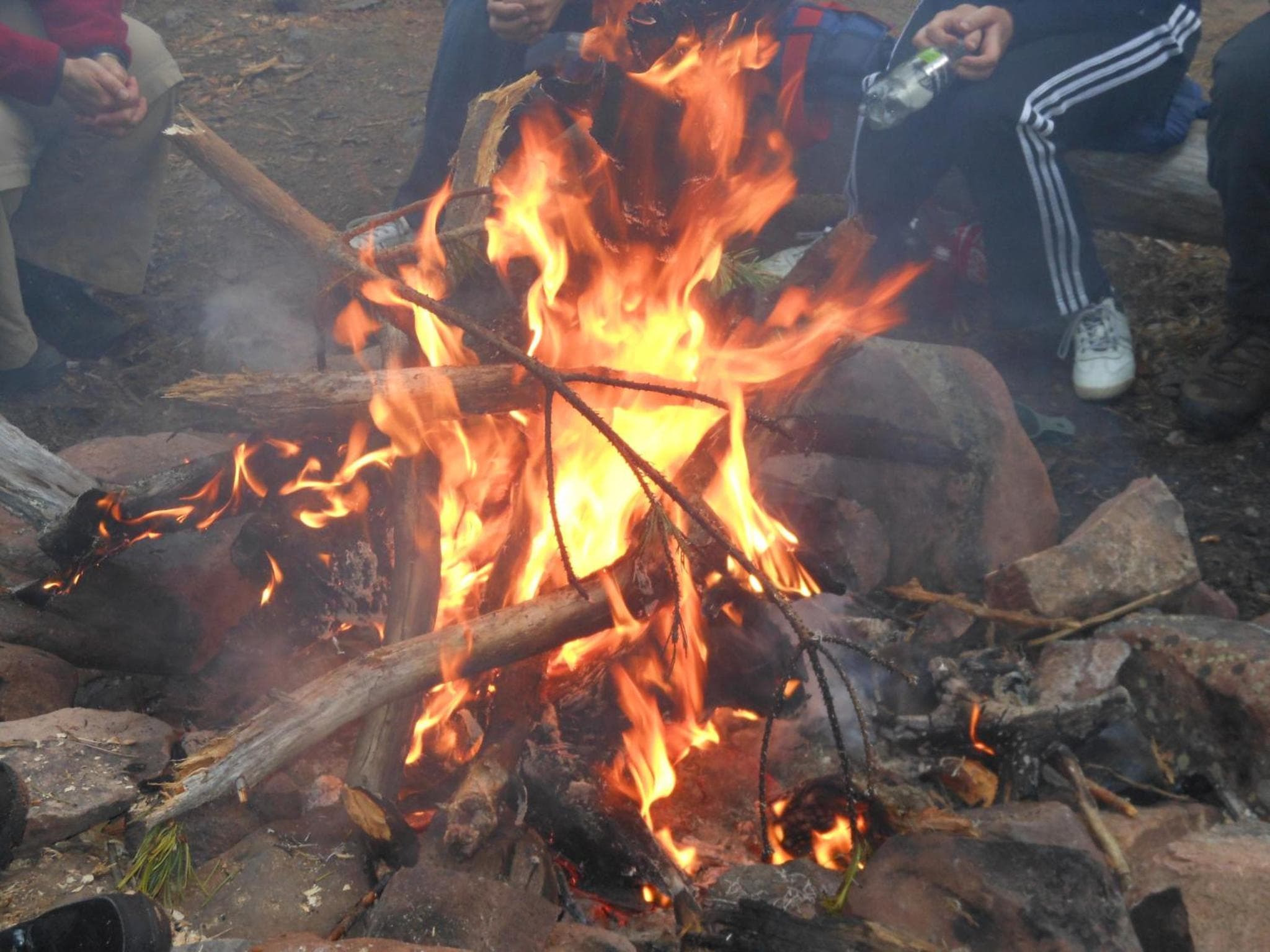 Johannisholm Adventure photo 2