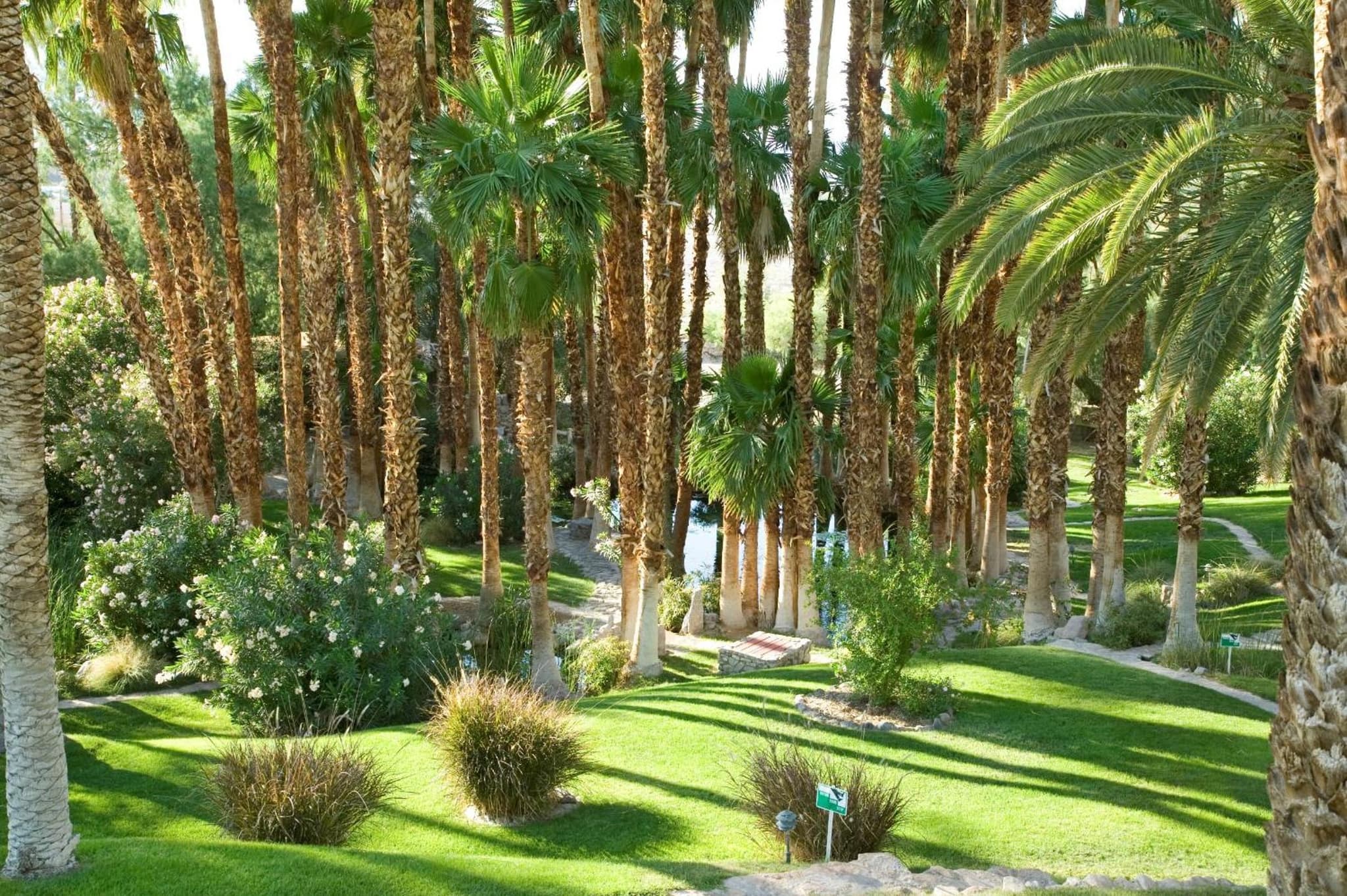 The Inn at Death Valley photo 2