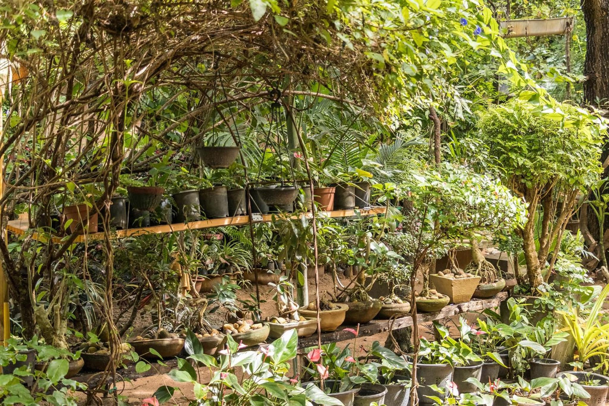 Green Garden Resort photo 3