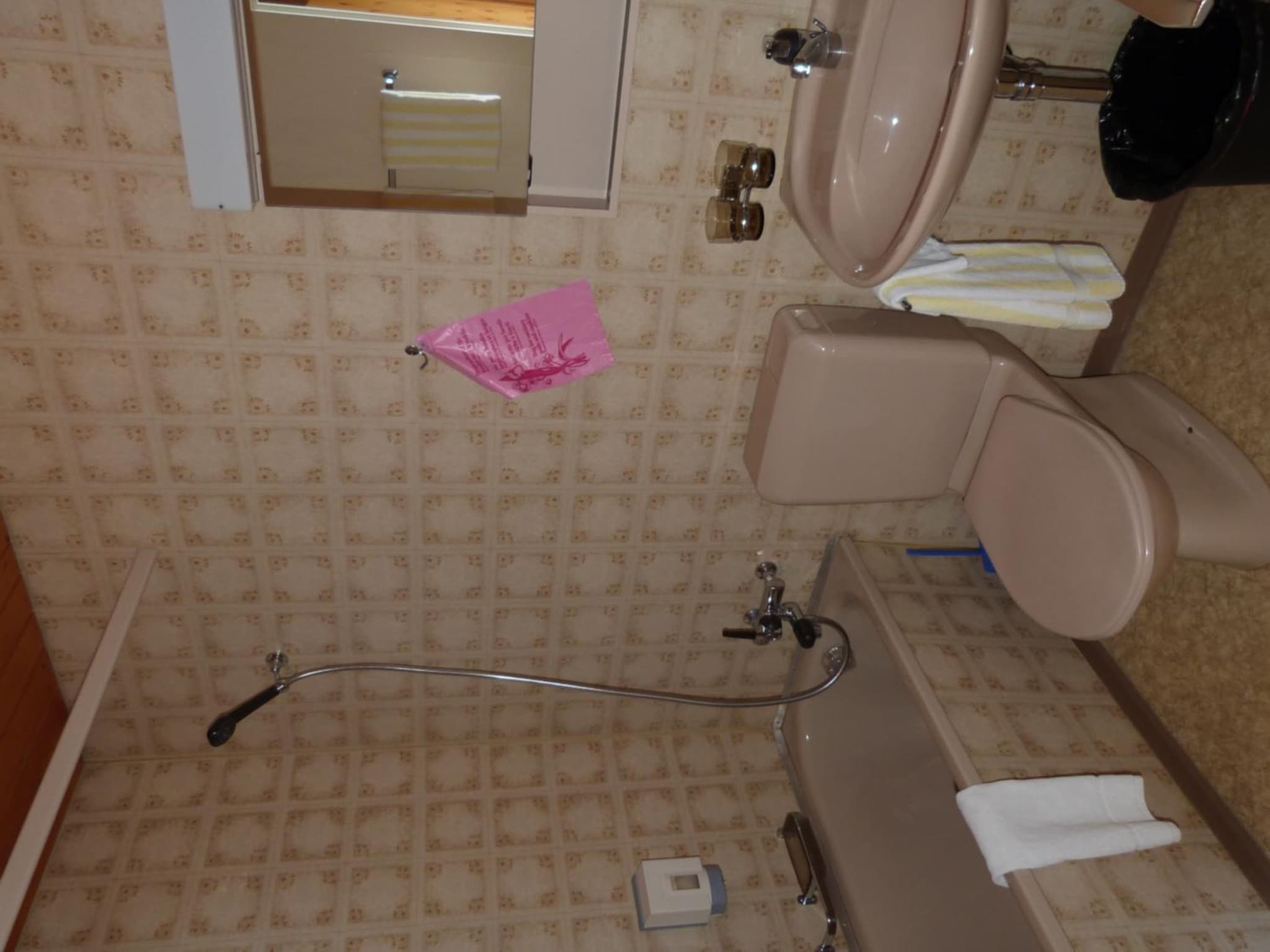 Hotel Bellevue photo 5