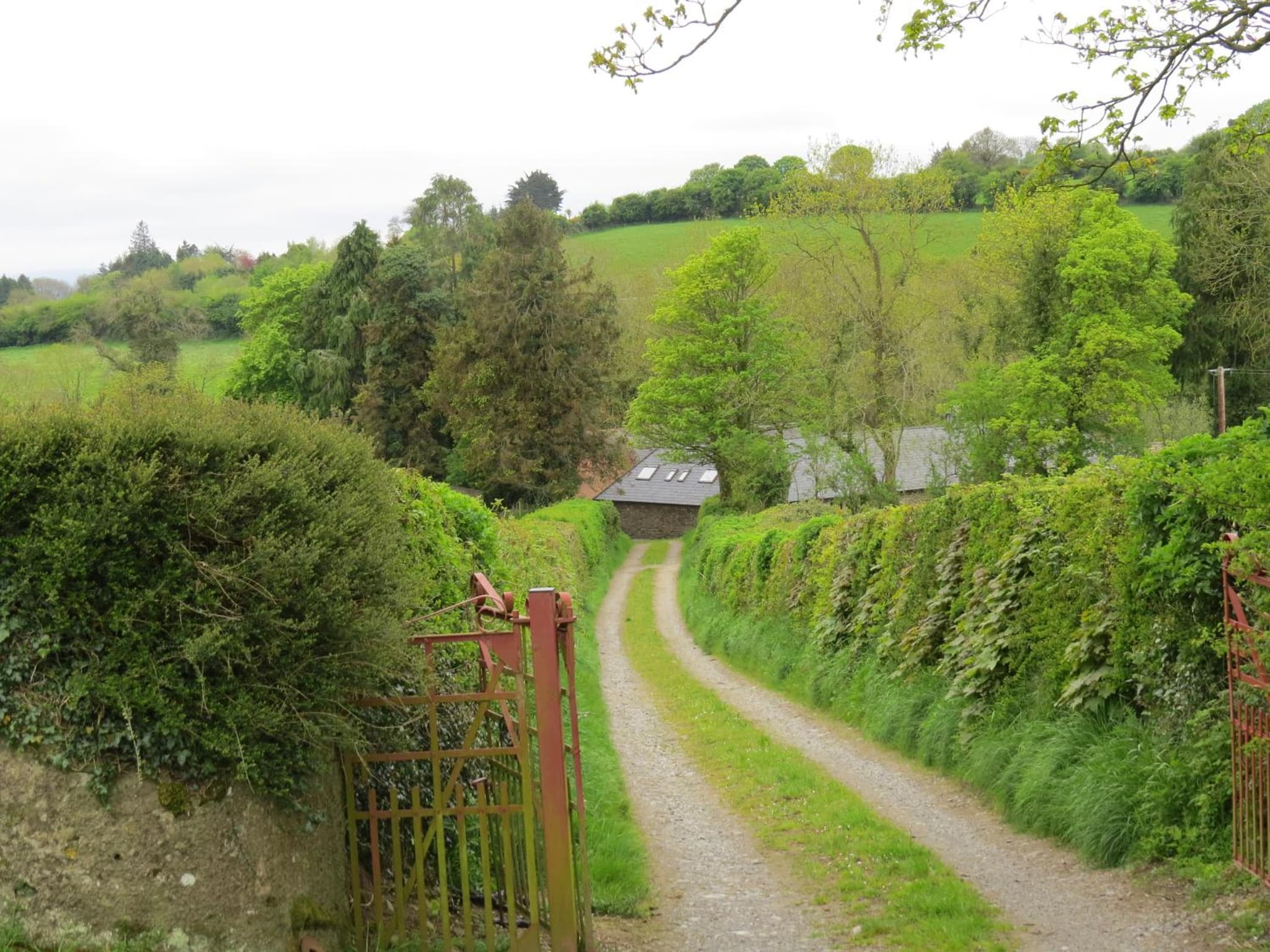 The Old House photo 7