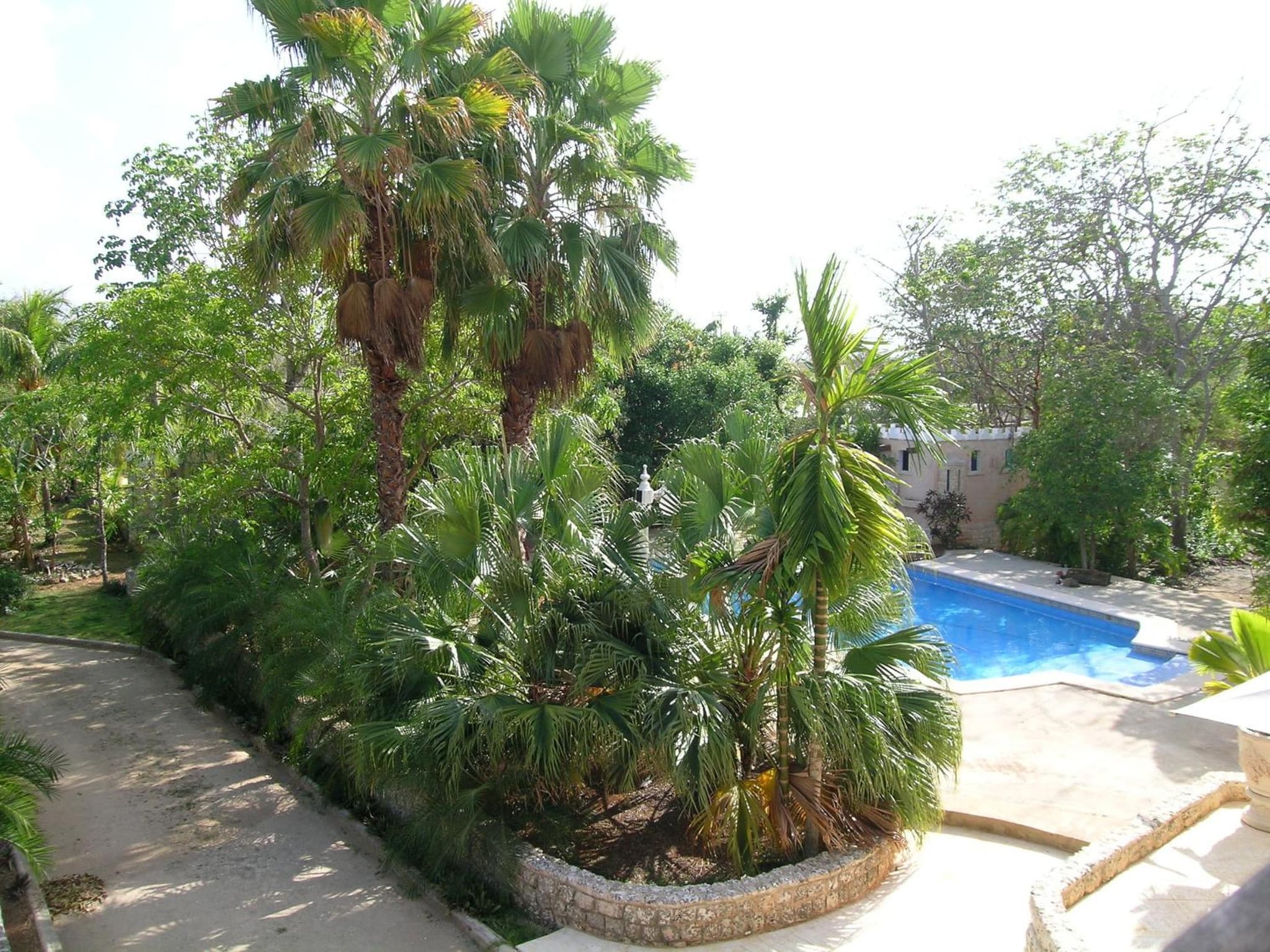 Casa Las Palmas photo 7