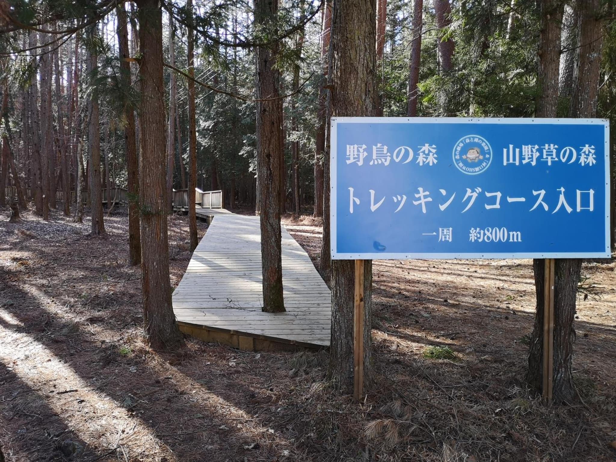 森と湖の楽園 ドッグラン&バレルサウナ photo 6