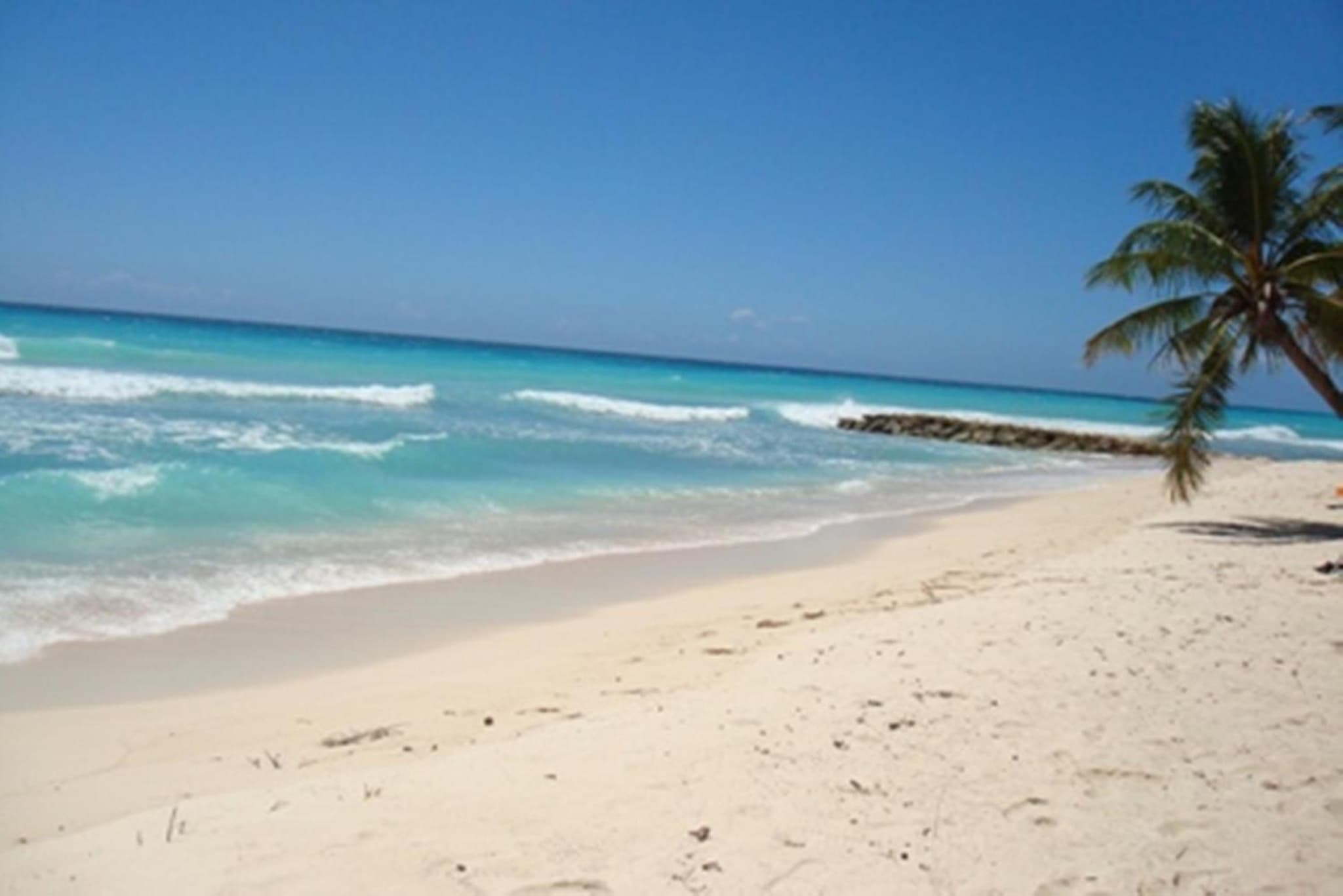 White Sands Beach Condos photo 2
