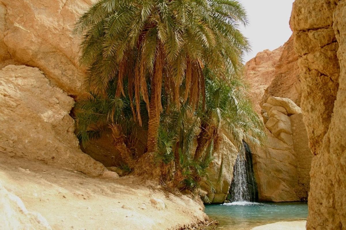 Villa Atlas Oasis photo 2