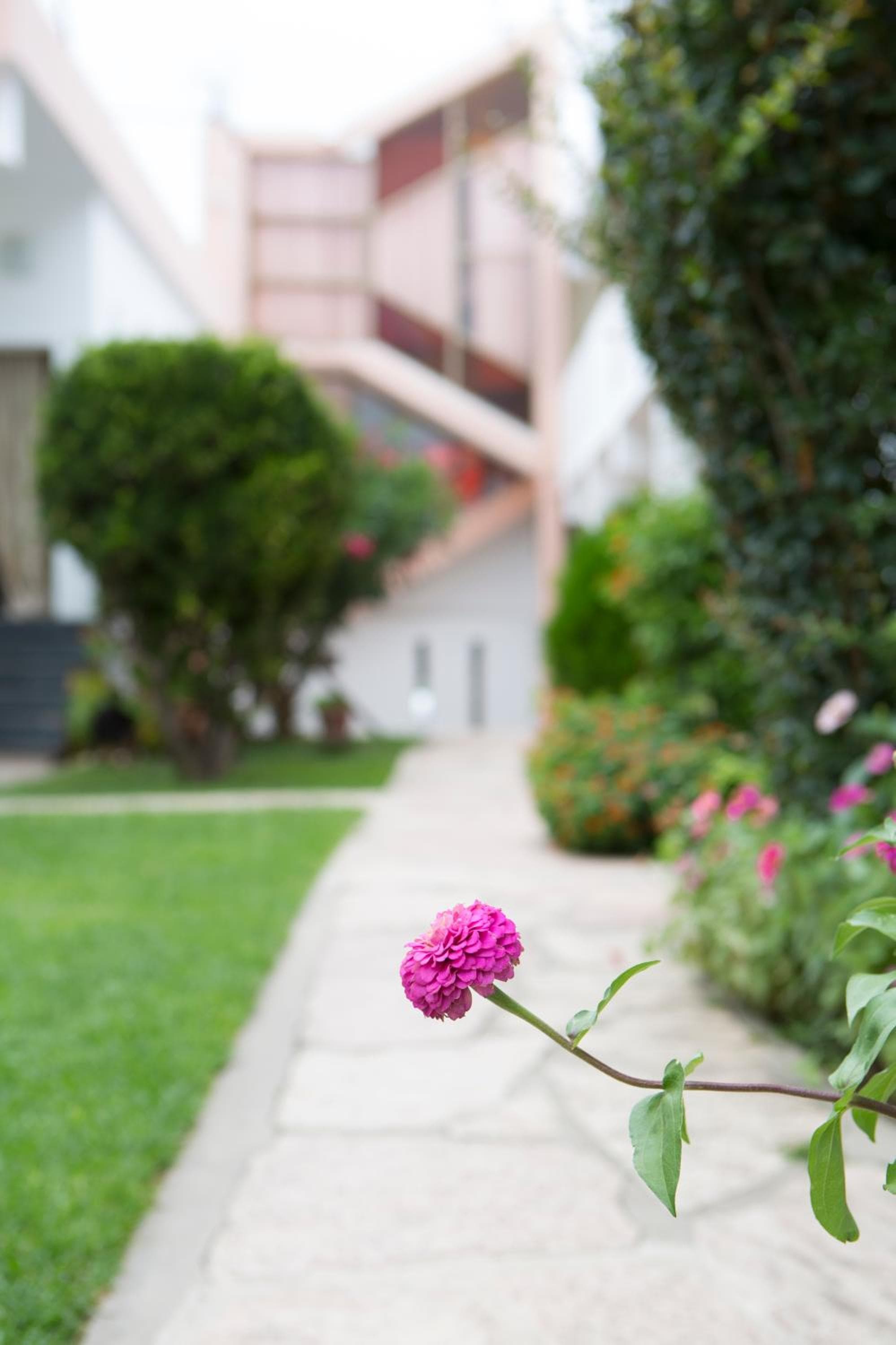 Hotel Los Aromos photo 5