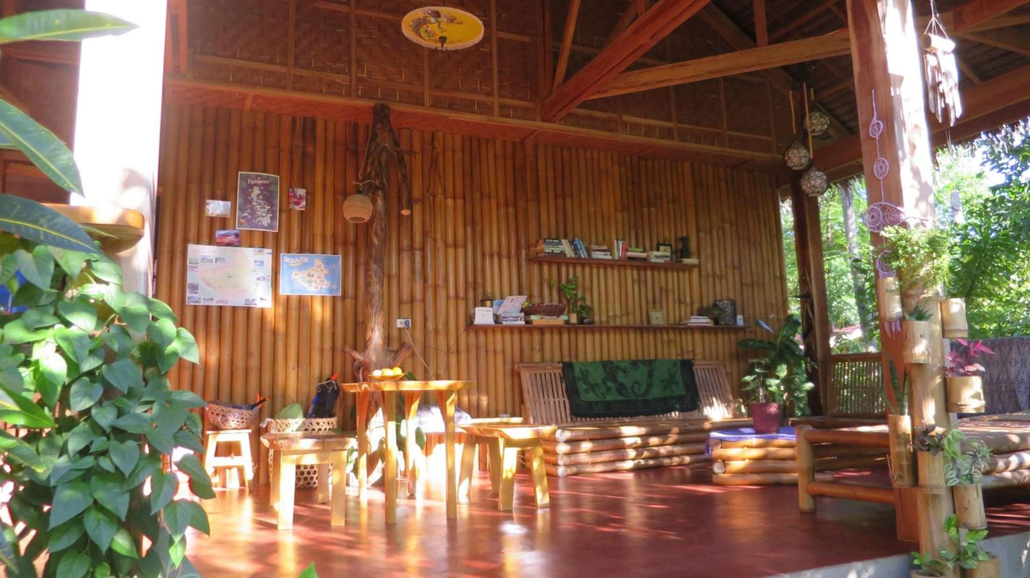 Lazy Lizard Hostel photo 6