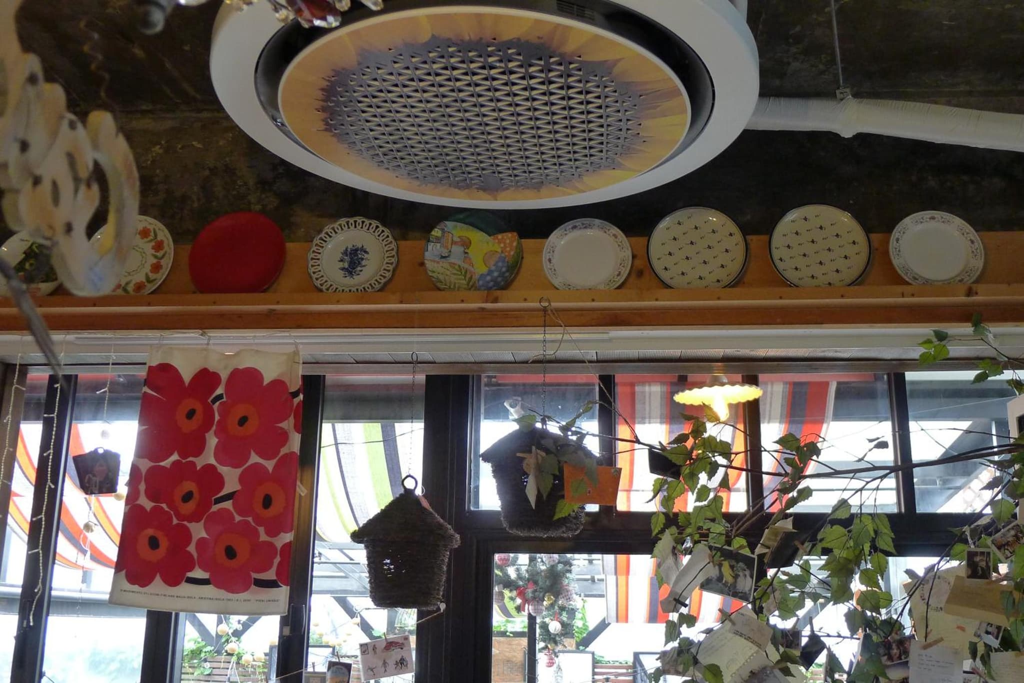 The House Hostel photo 8