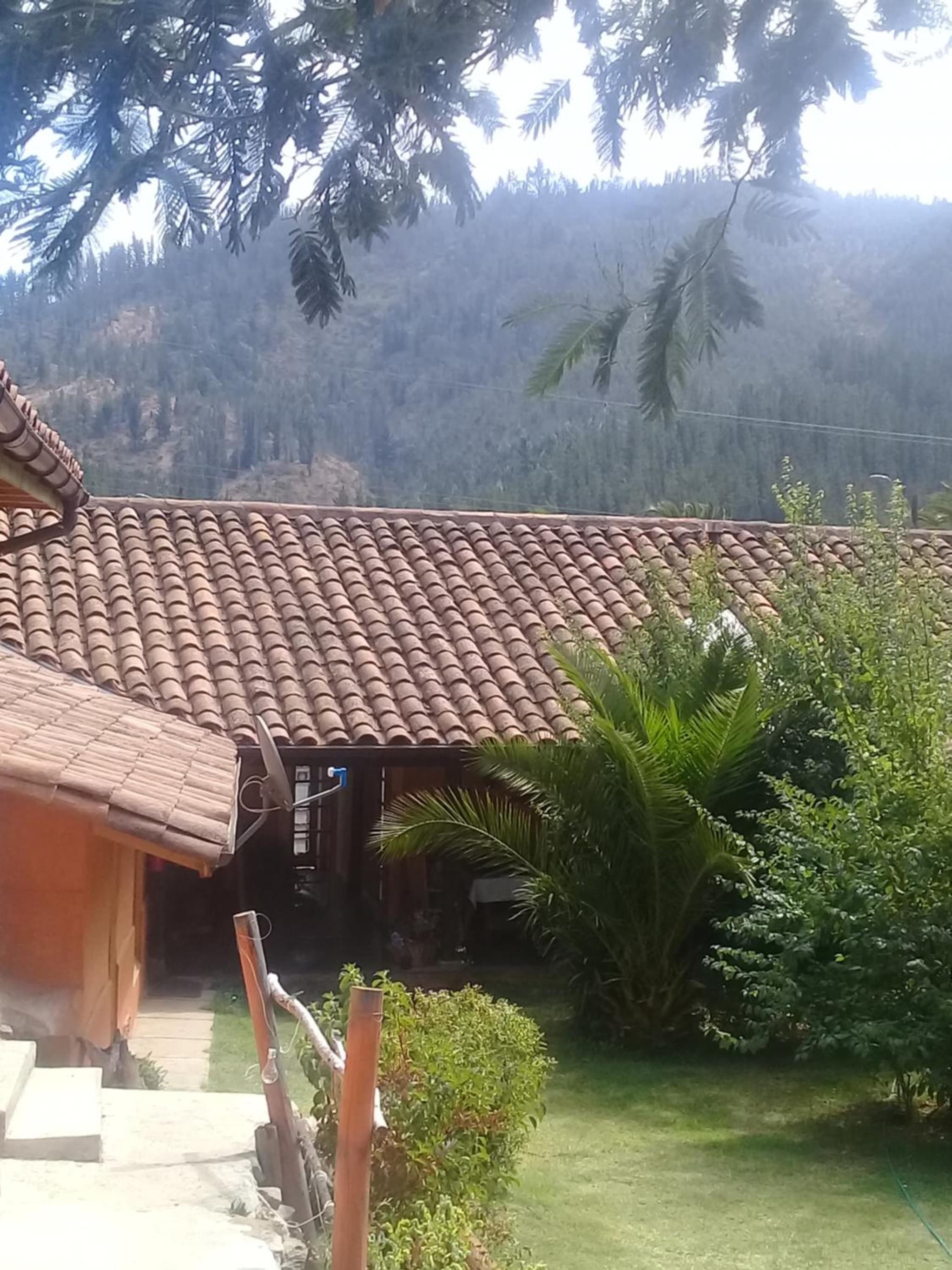 Hostal del Ingles photo 3