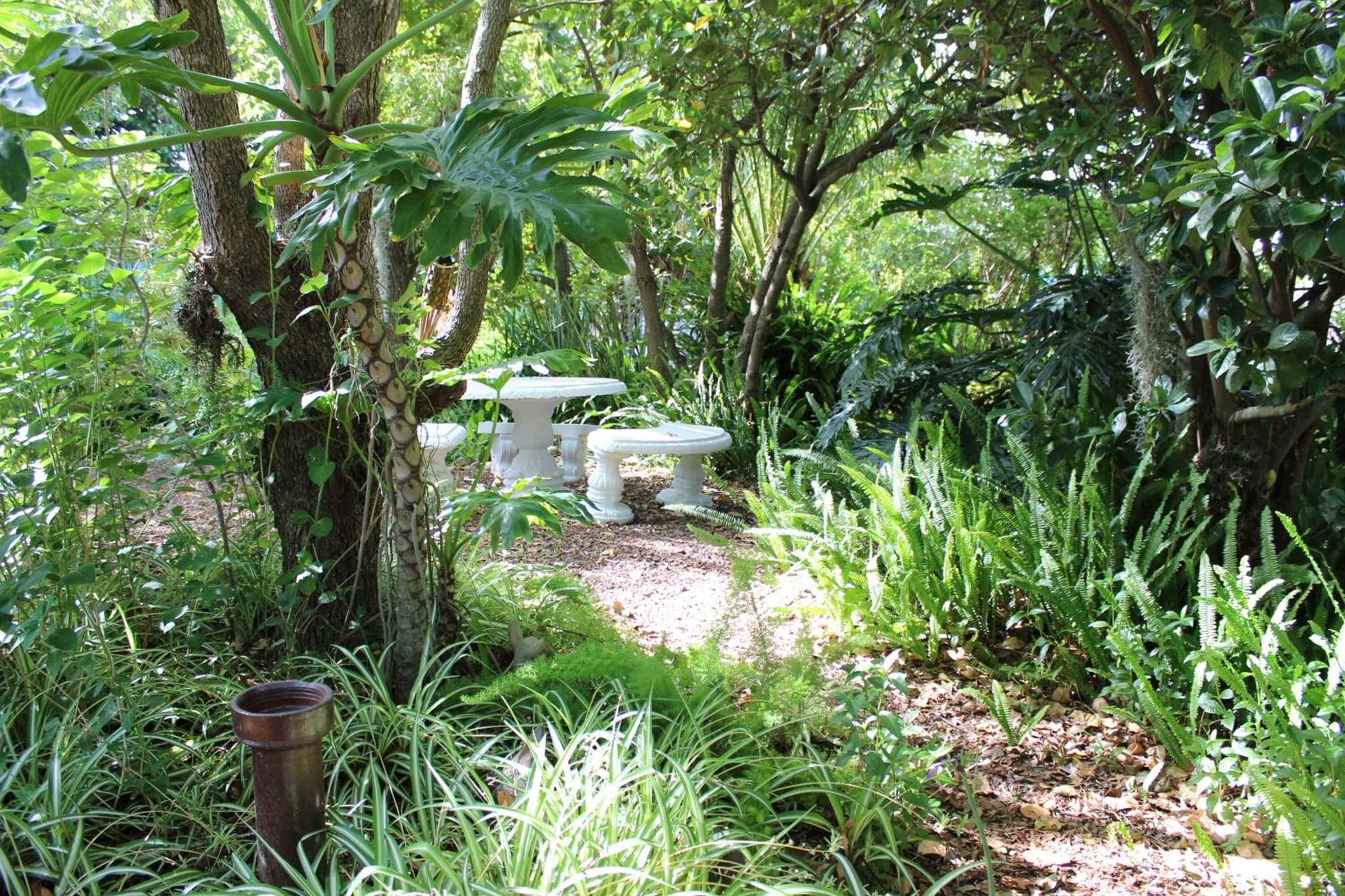 Aquaelberg Place photo 6