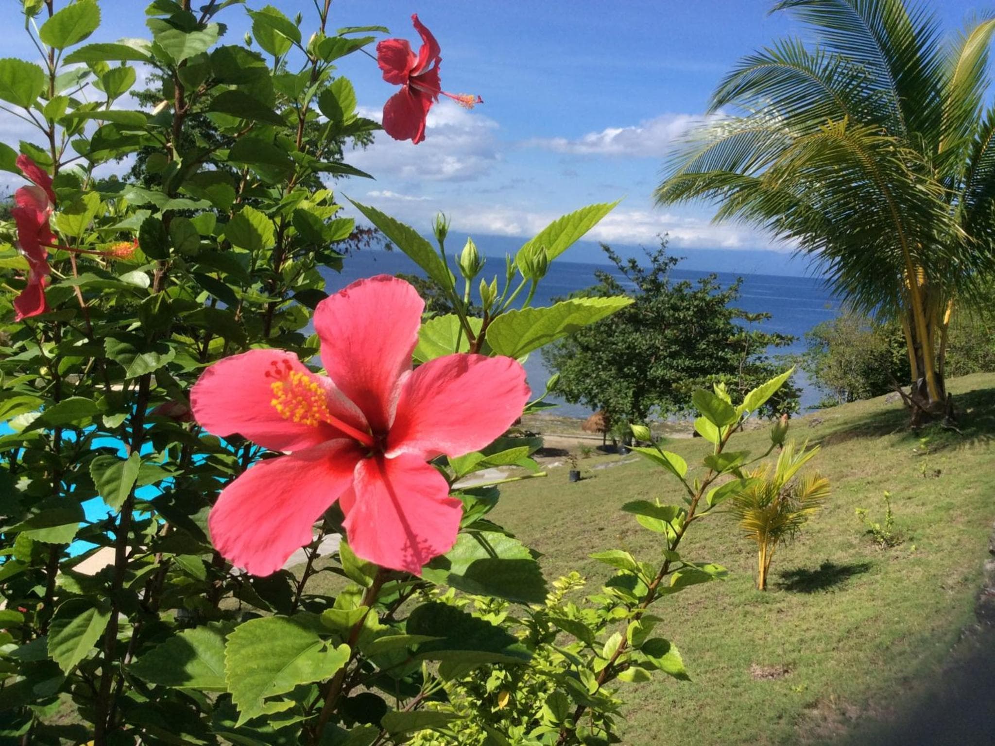 Cuestas Beach Resort and Restaurant photo 7