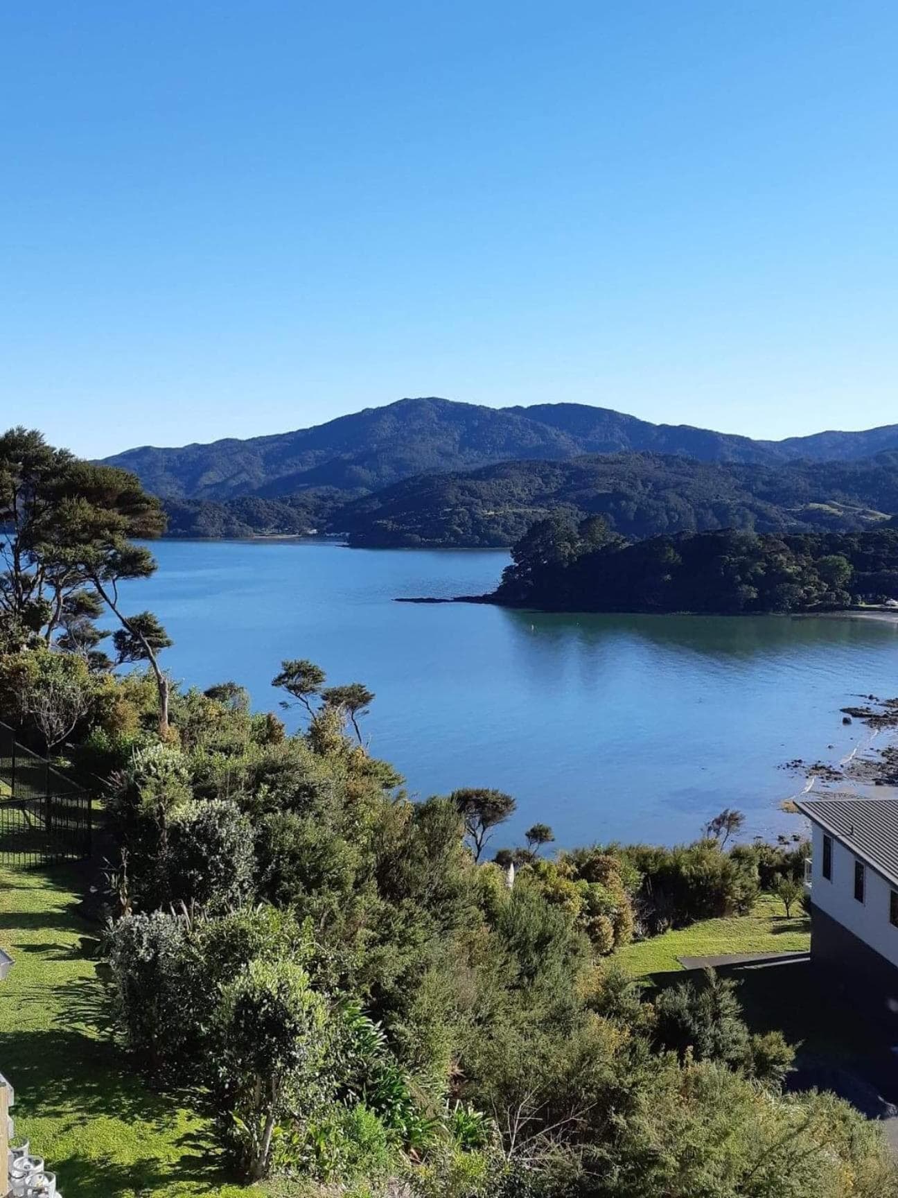 Coromandel Seaview Motel photo 7