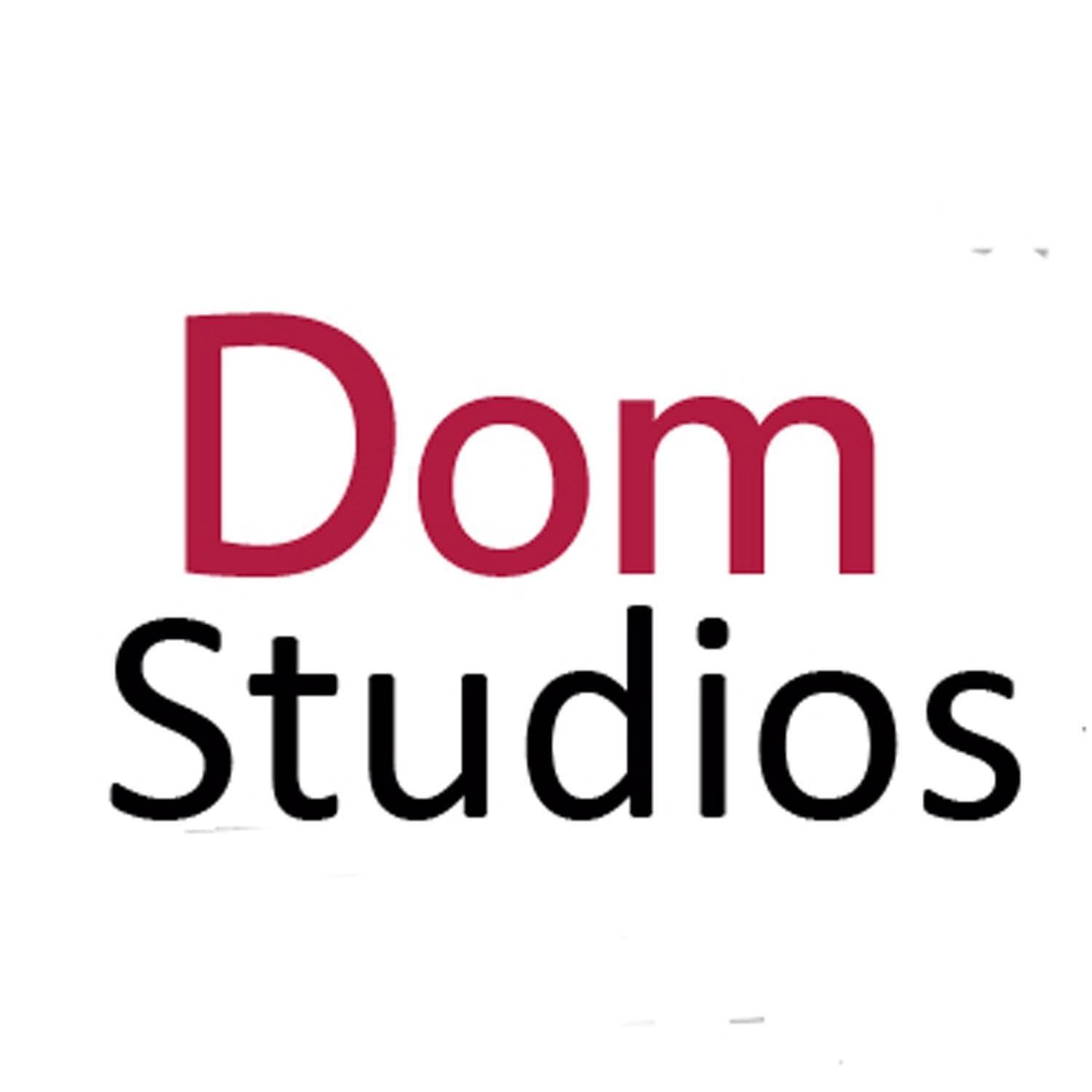 Dom Studios photo 4