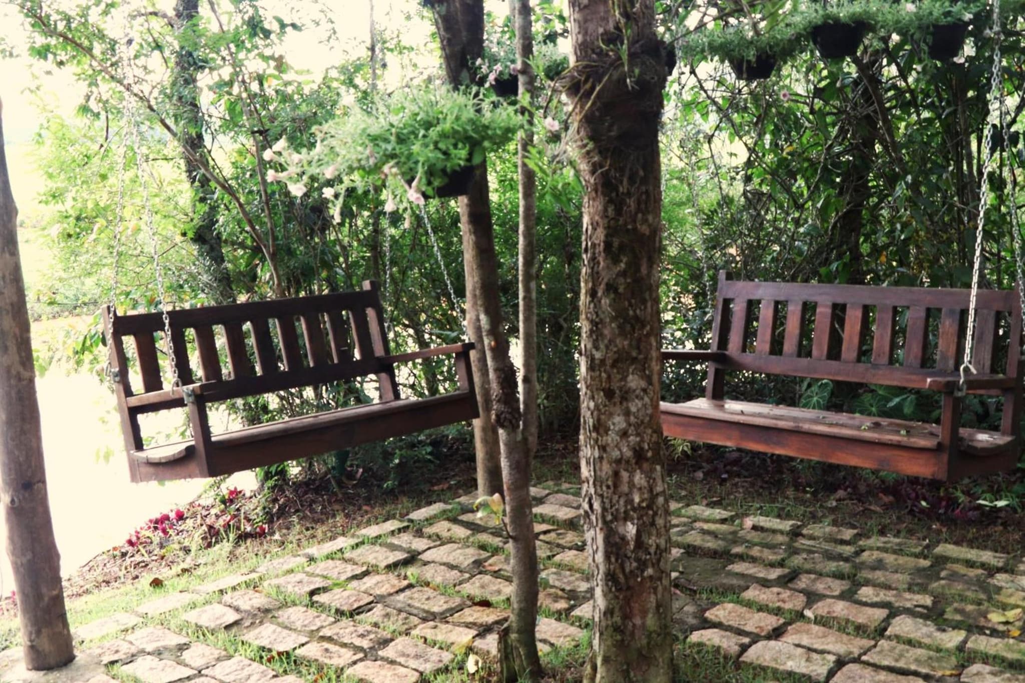 Pousada Santa Thereza photo 8