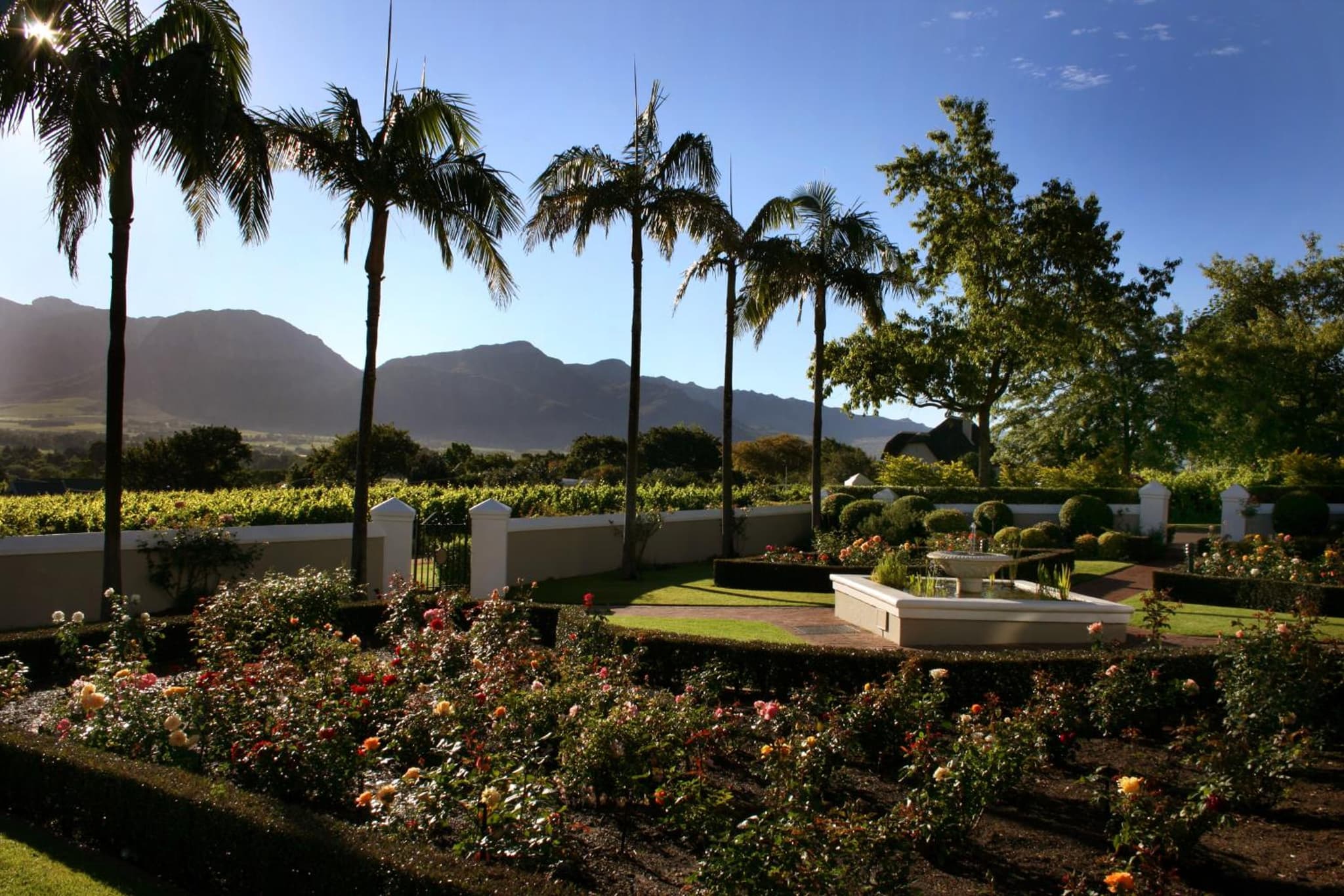 Grande Roche Hotel photo 7