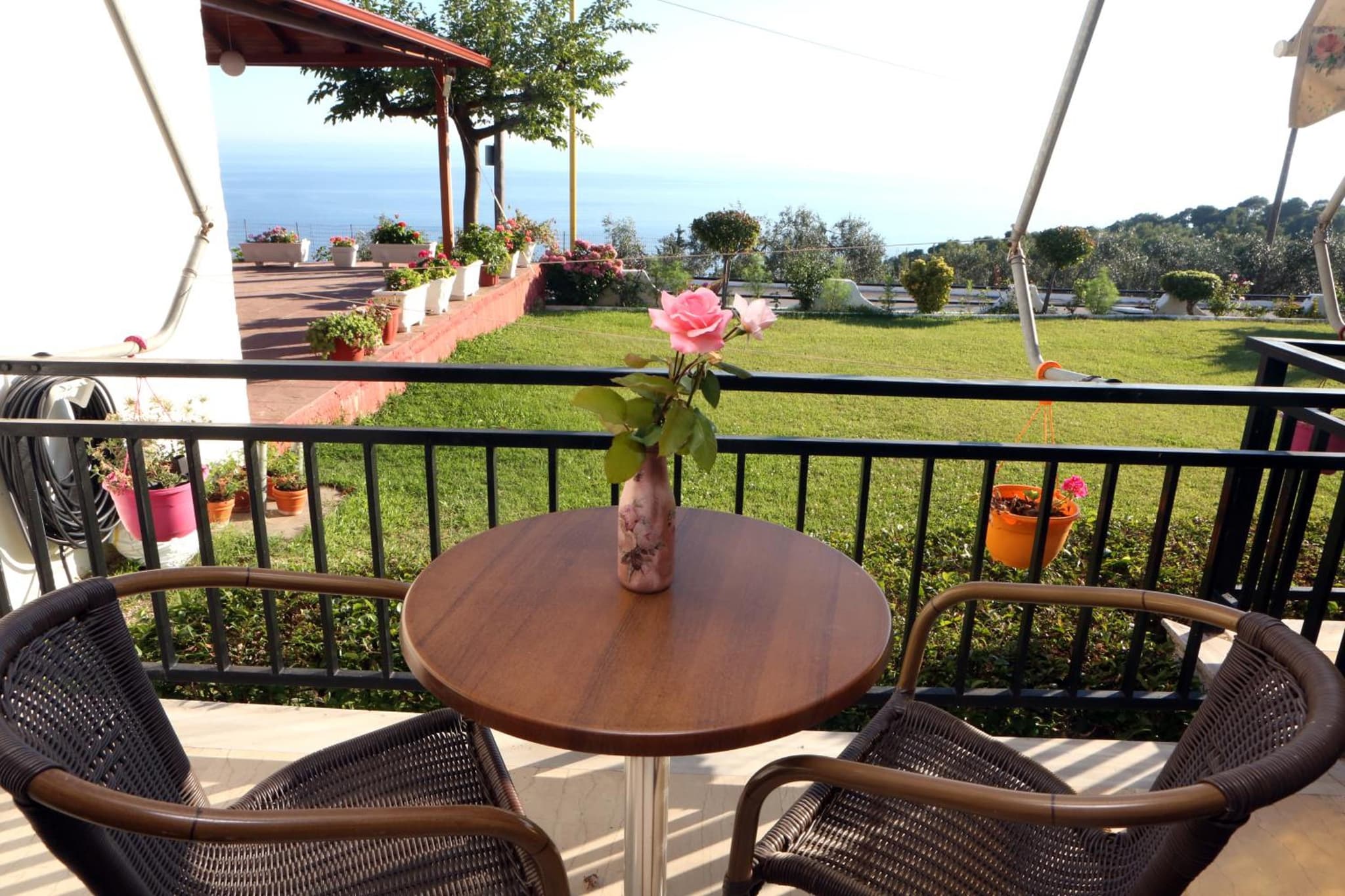 Selini hotel photo 3