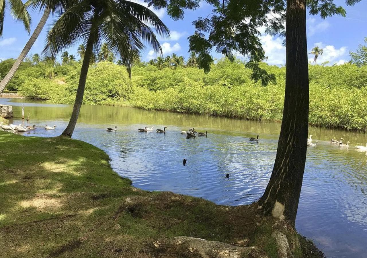 Eco Pousada Paraíso dos Coqueirais photo 6