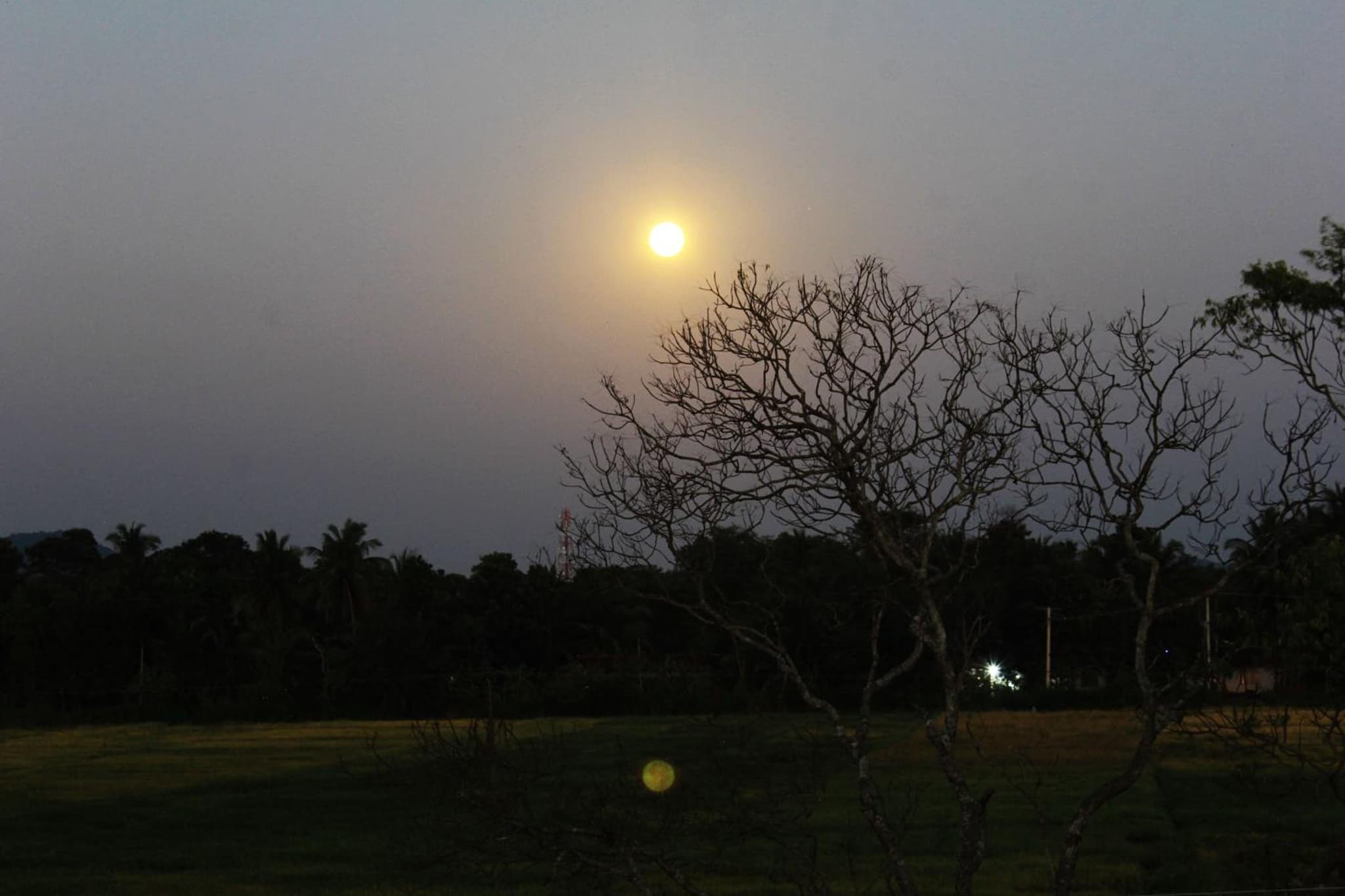 Sigiriya Water Guest & View Point Restaurant photo 7