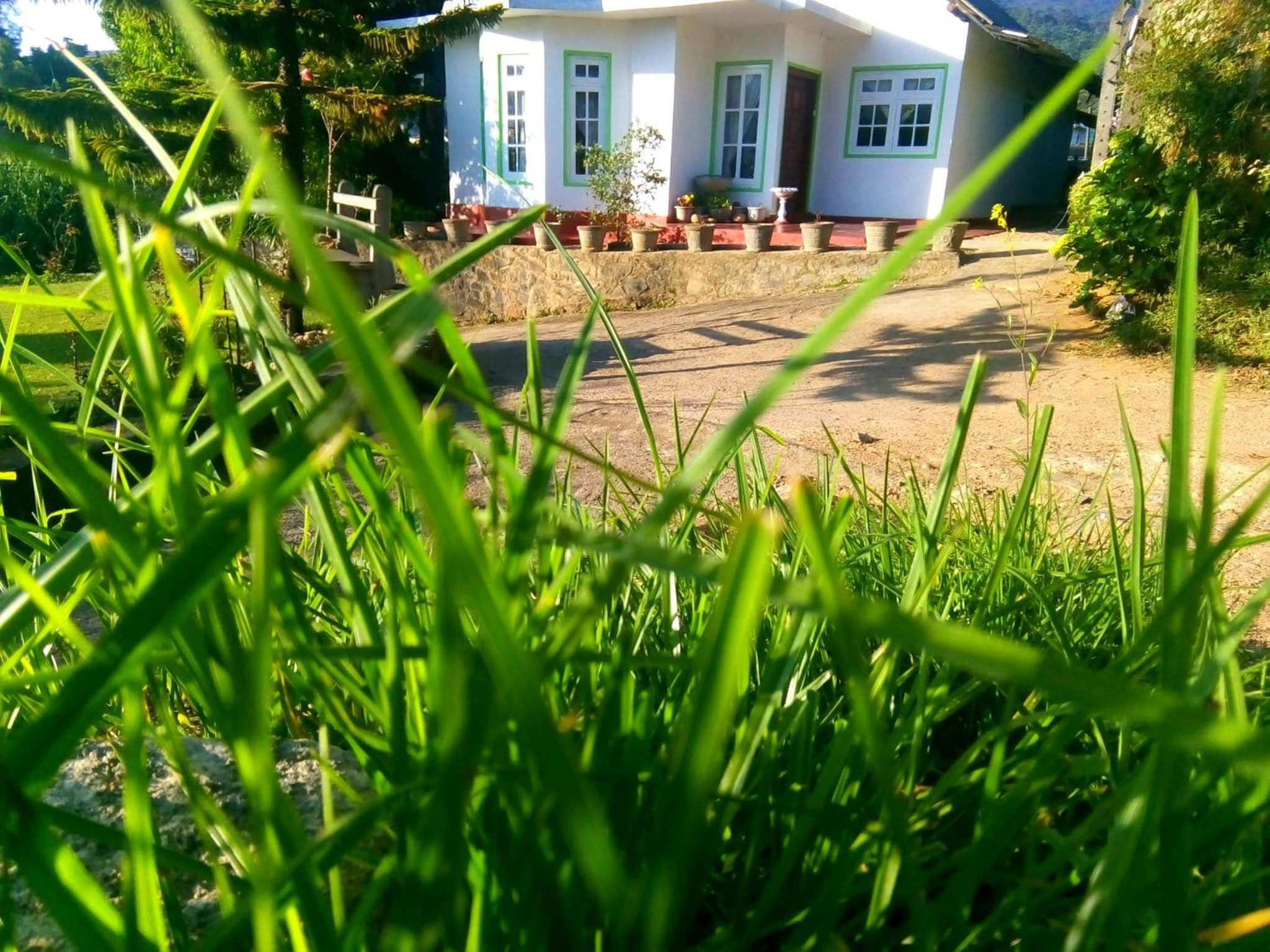 Nuwara eliya mountain view homestay photo 8