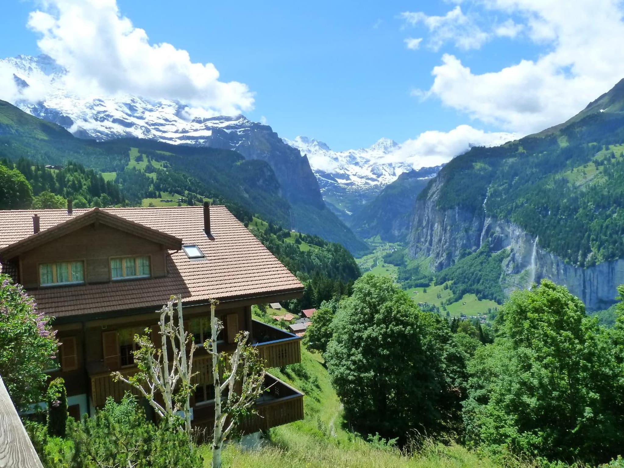 Chalet Gerbera photo 8