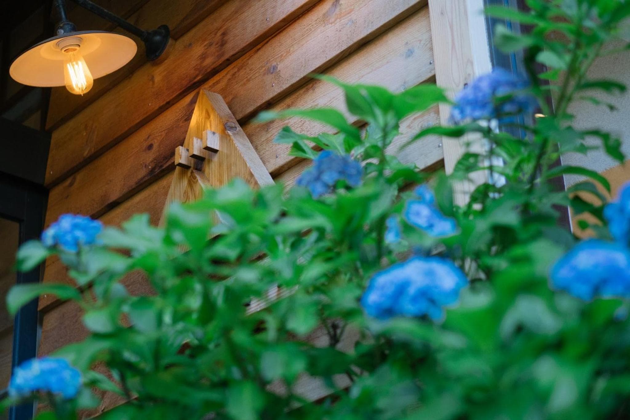 Onsen Guesthouse HAKONE TENT photo 5