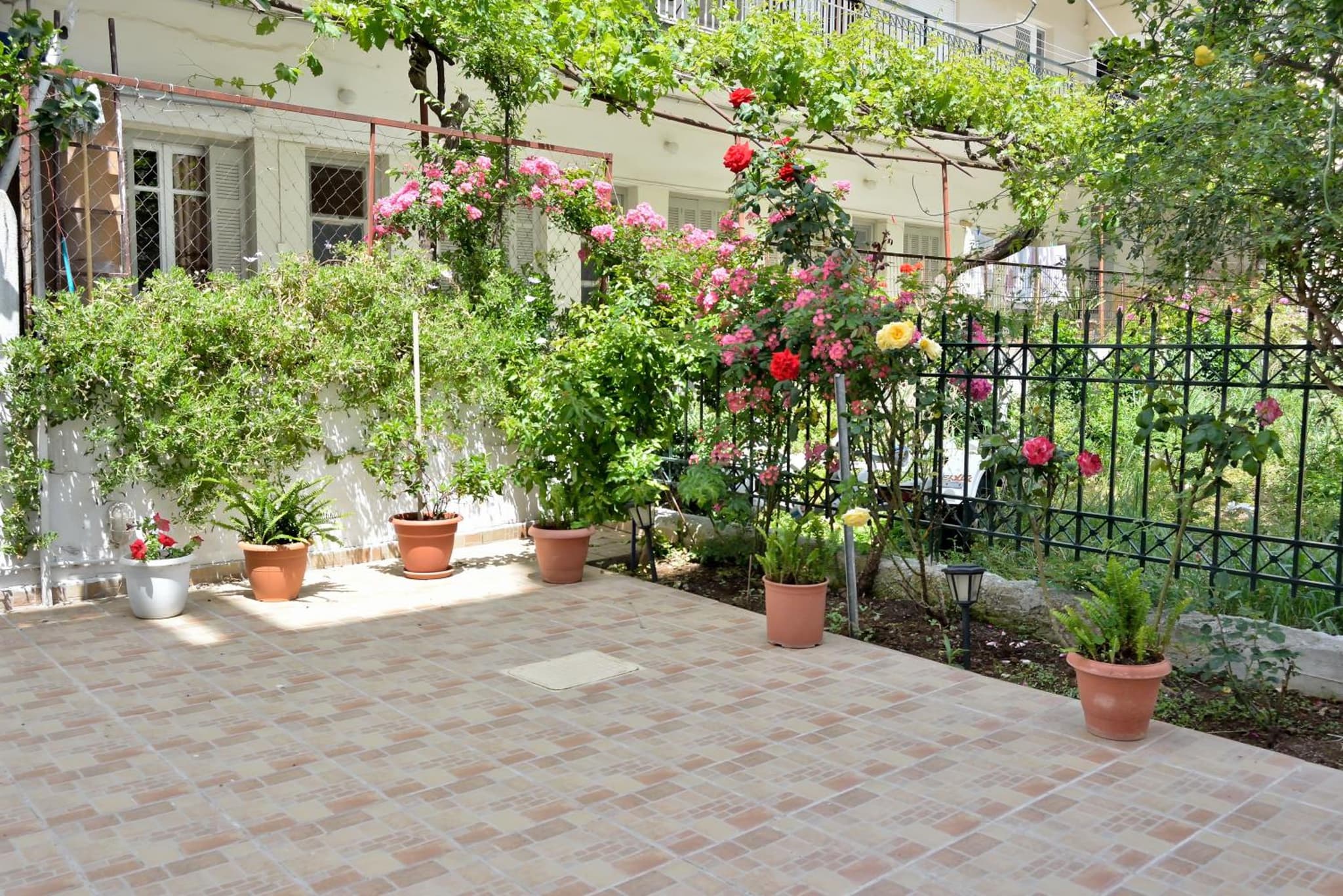 Evia Studios photo 5