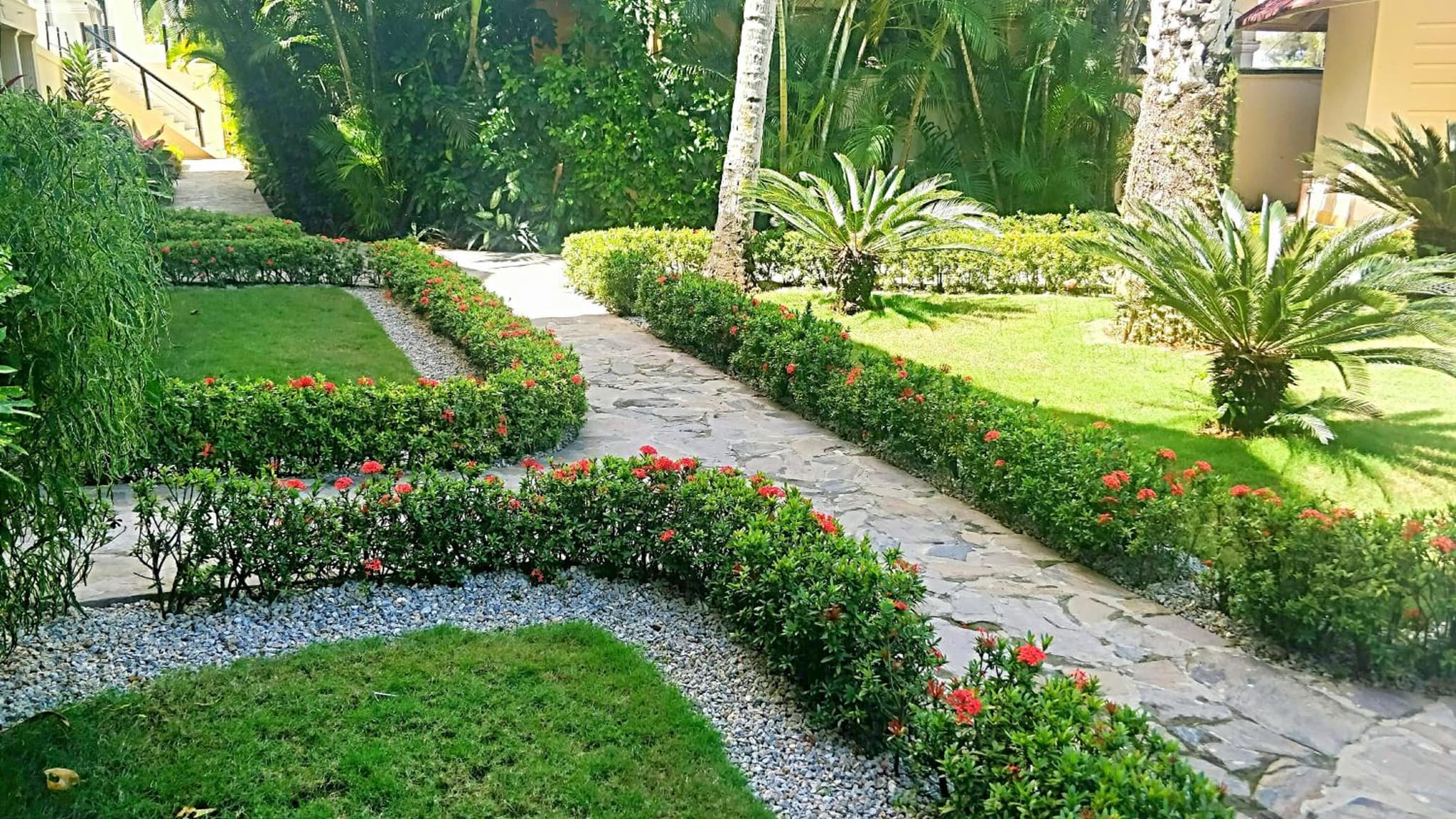 La Dolce Vita 12 Beachfront Hotels, Las Terrenas, Samana photo 4